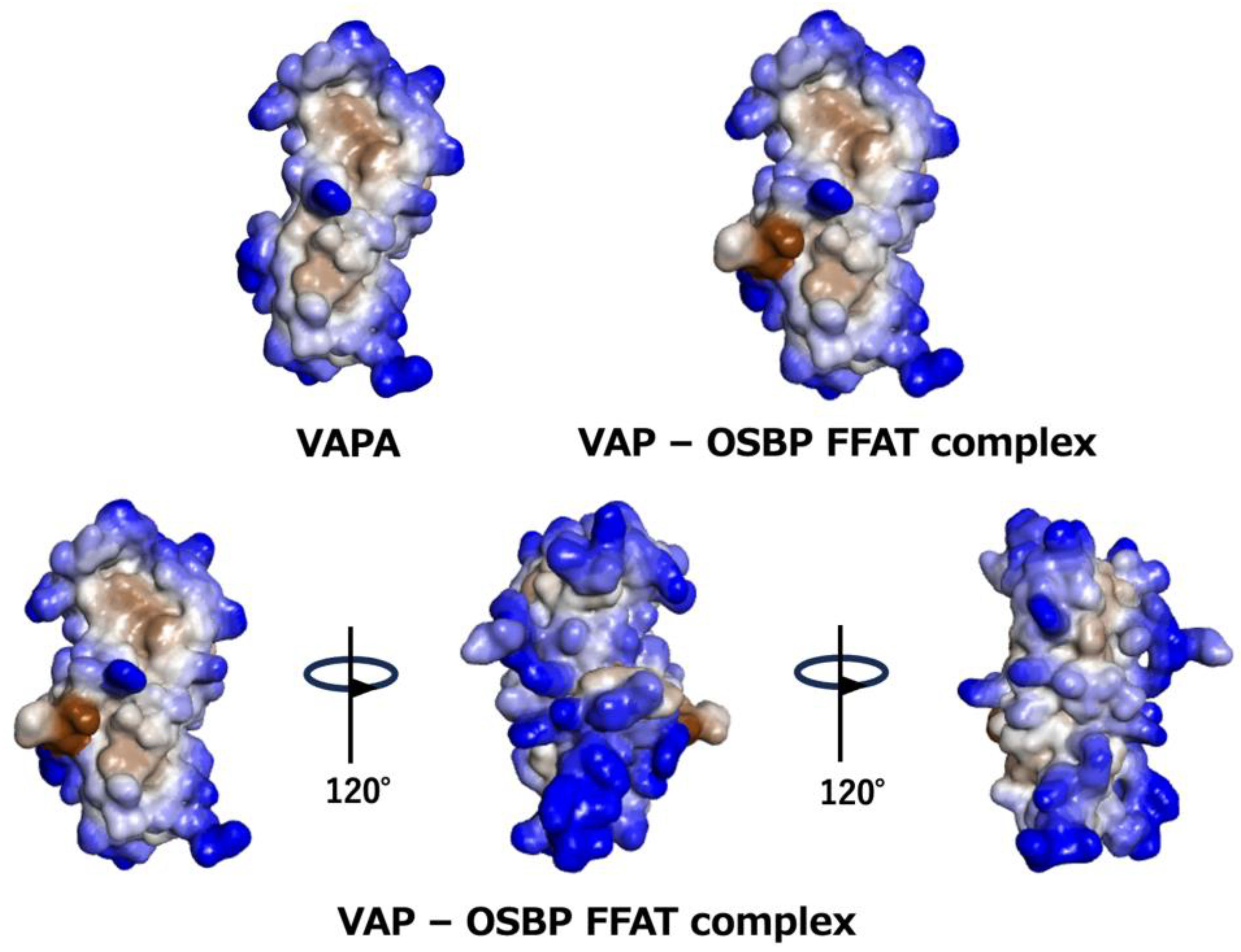Molecules 30 01220 g006
