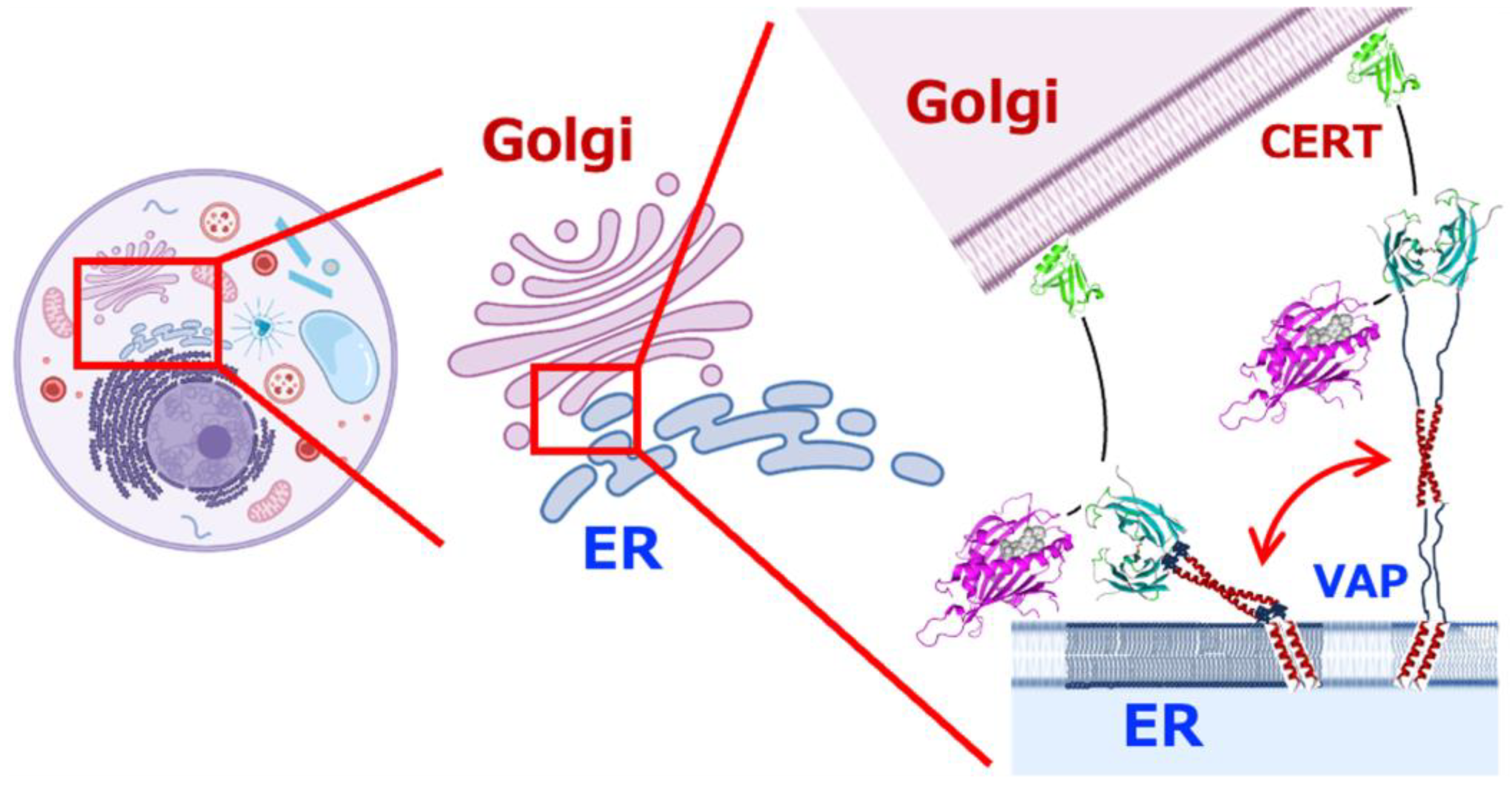 Molecules 30 01220 g010
