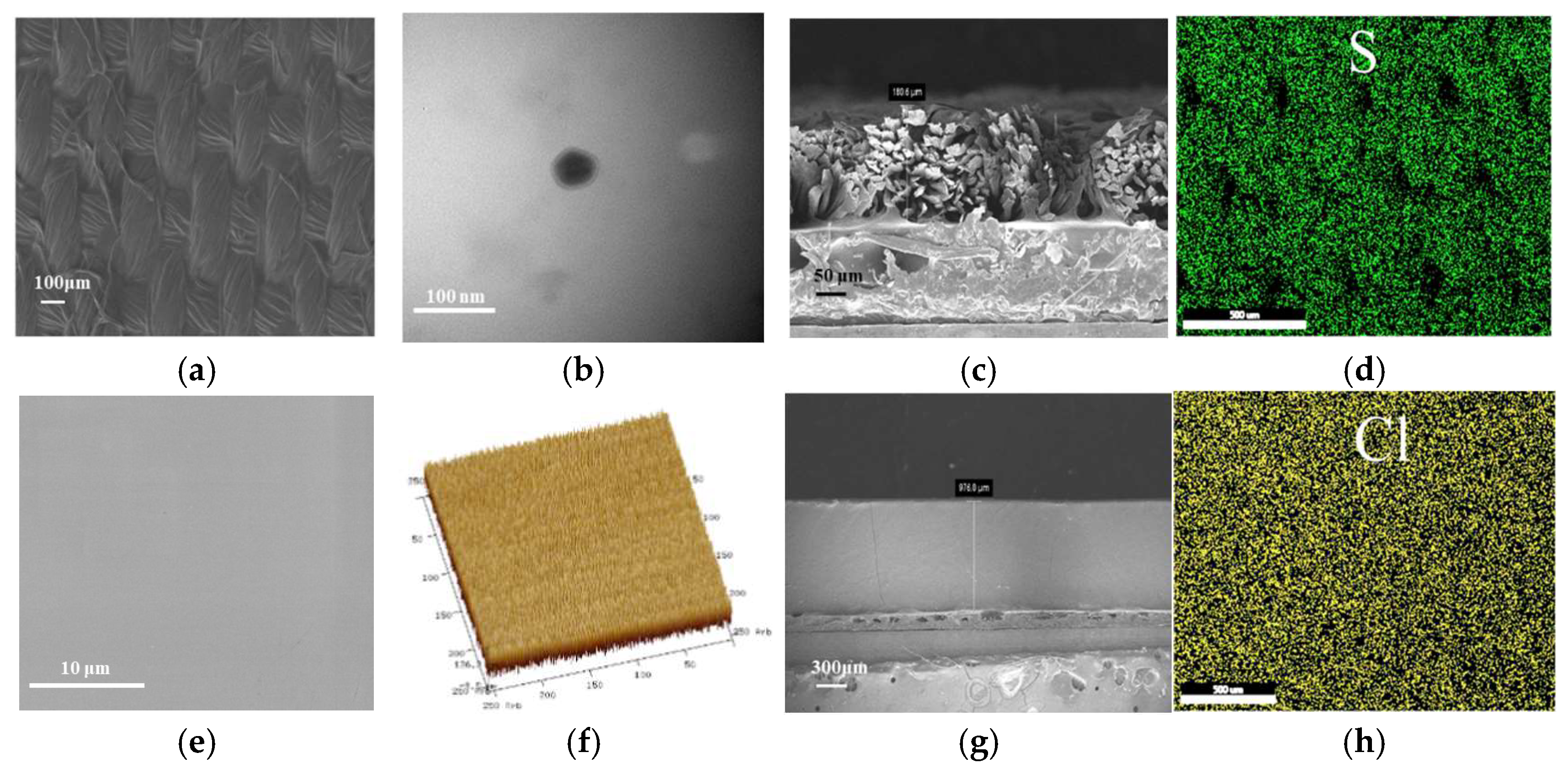Molecules 30 01249 g001