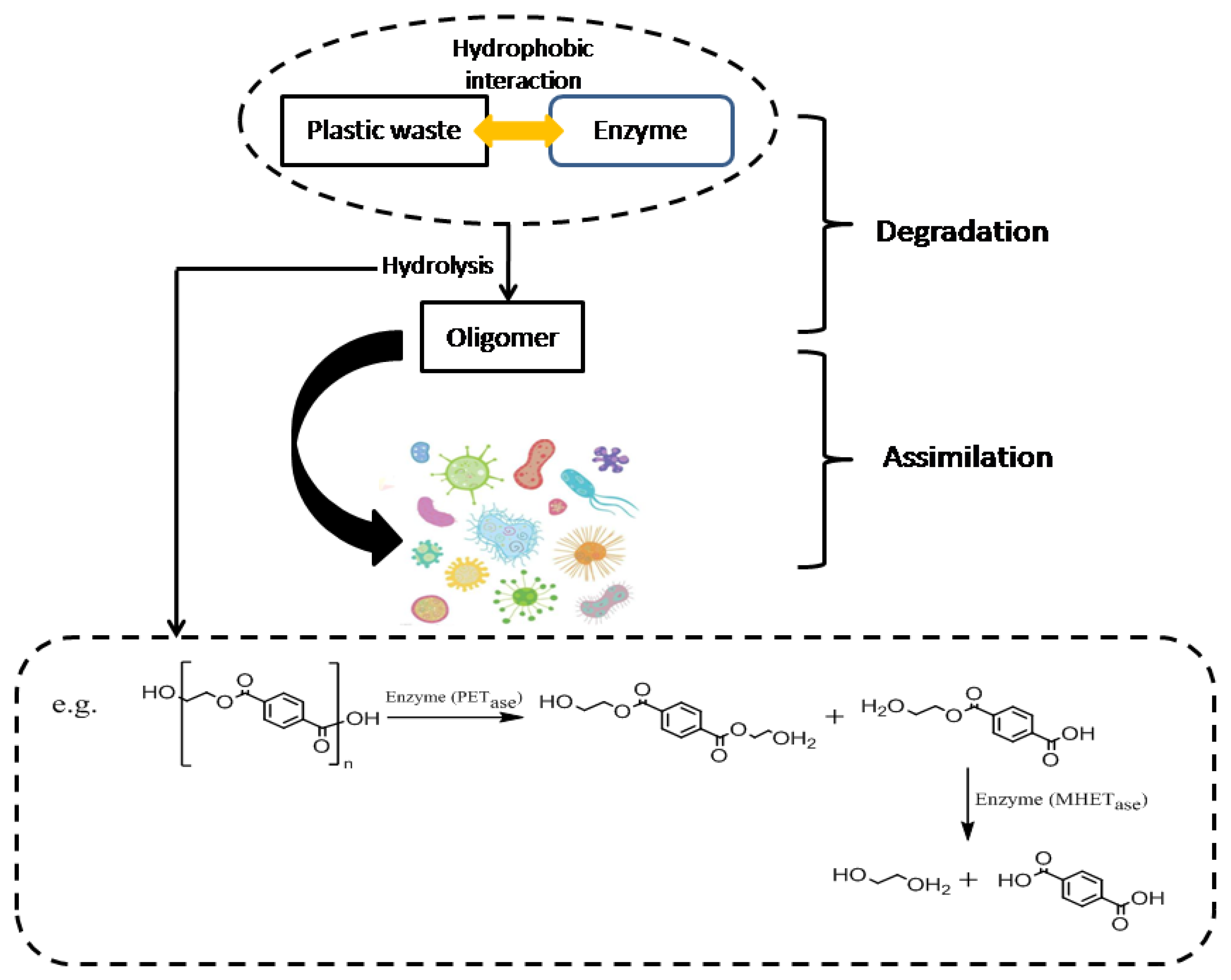 Molecules 30 01255 g004