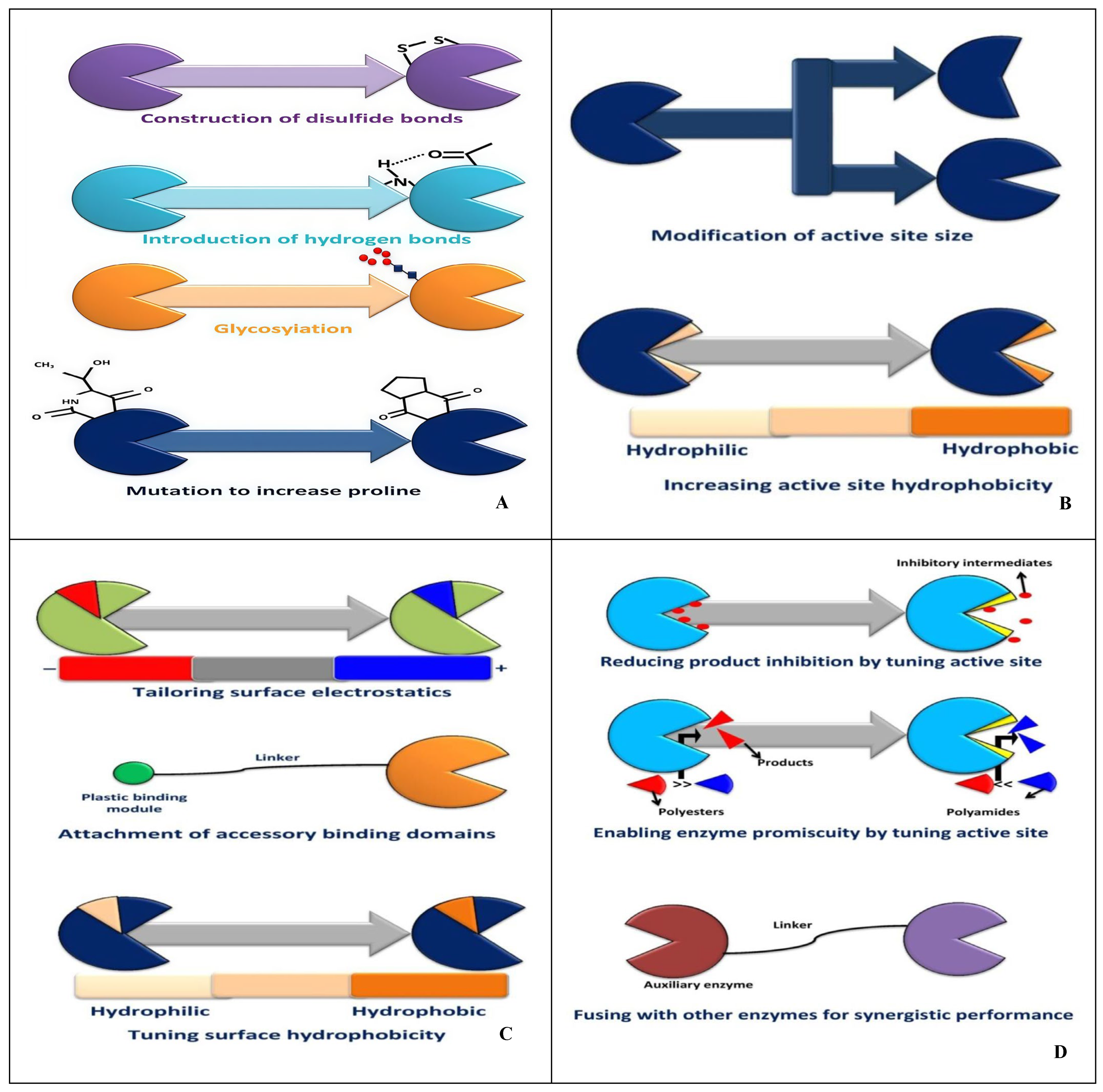 Molecules 30 01255 g005