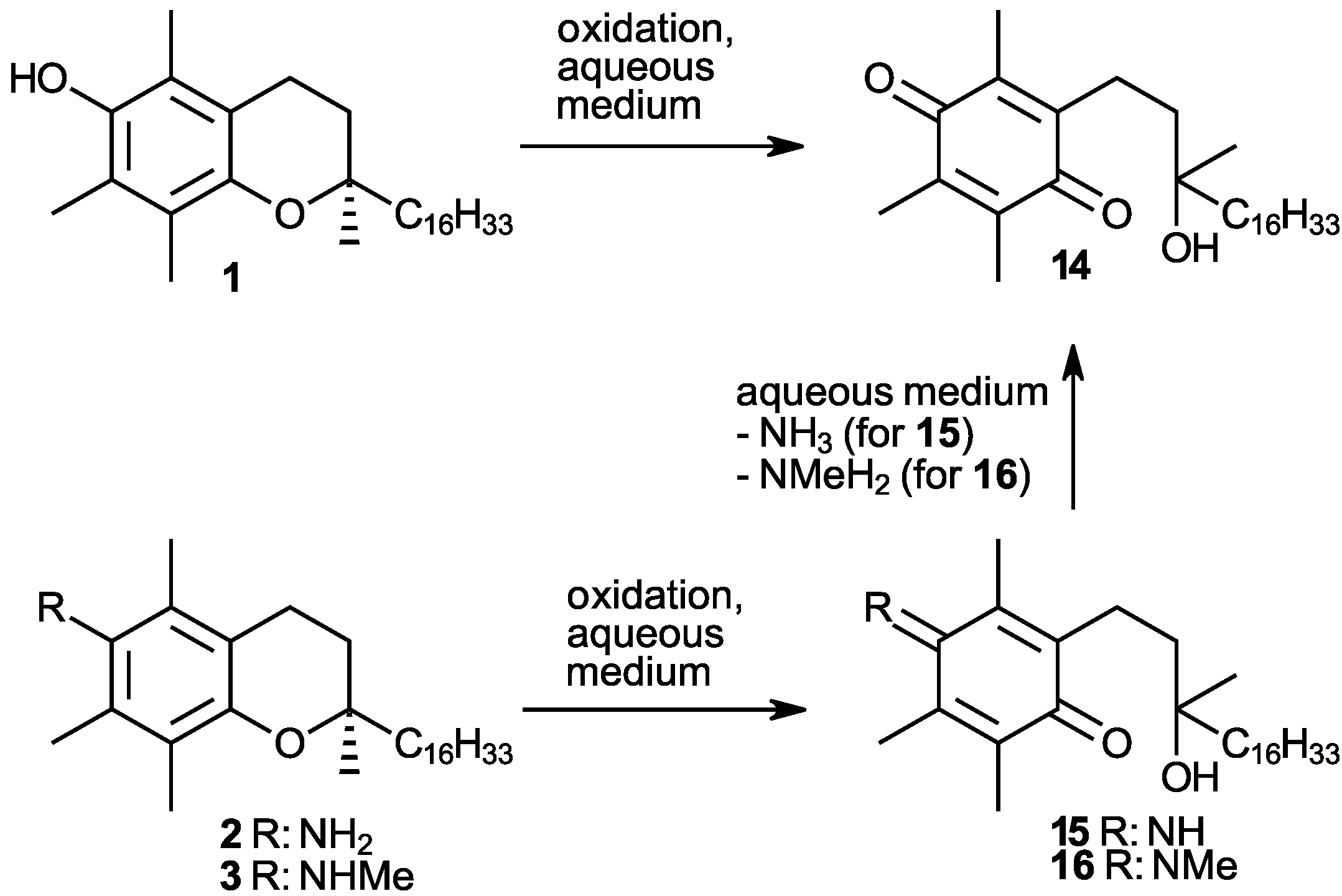 Molecules 30 01269 sch002