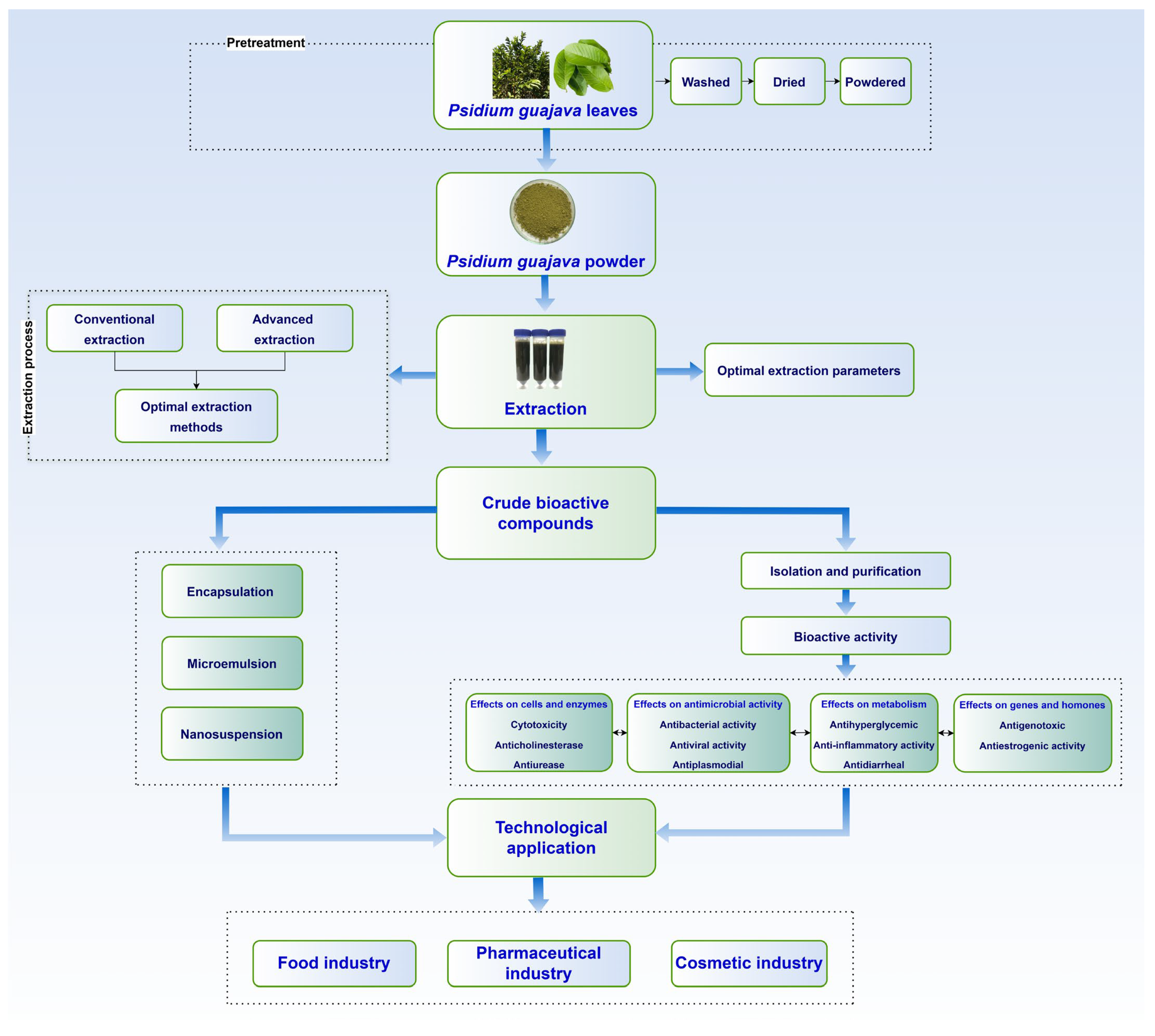 Molecules 30 01278 g001