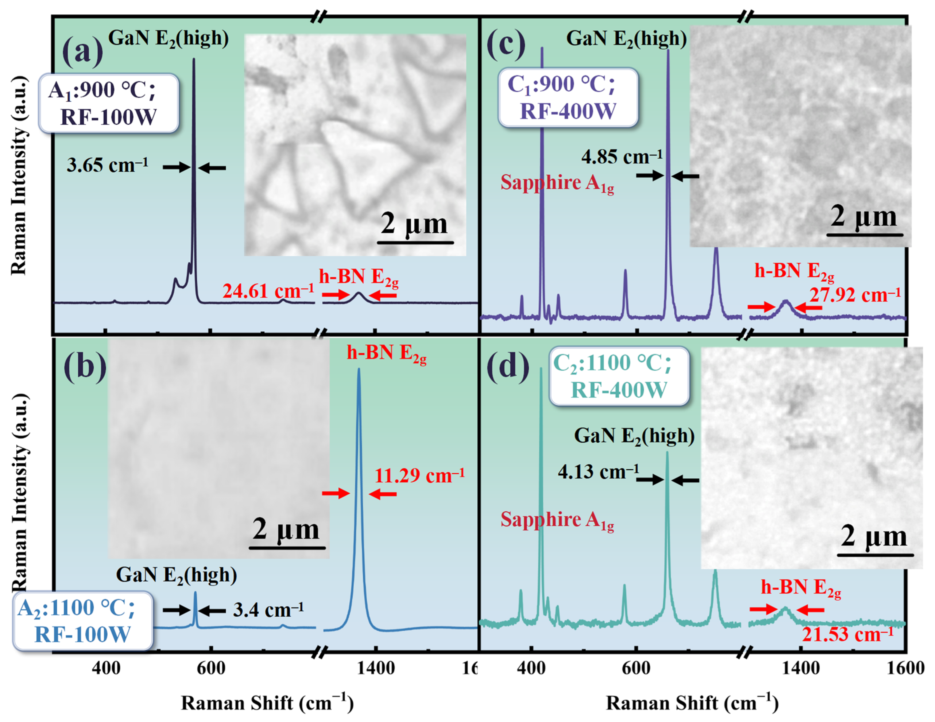 Molecules 30 01307 g005