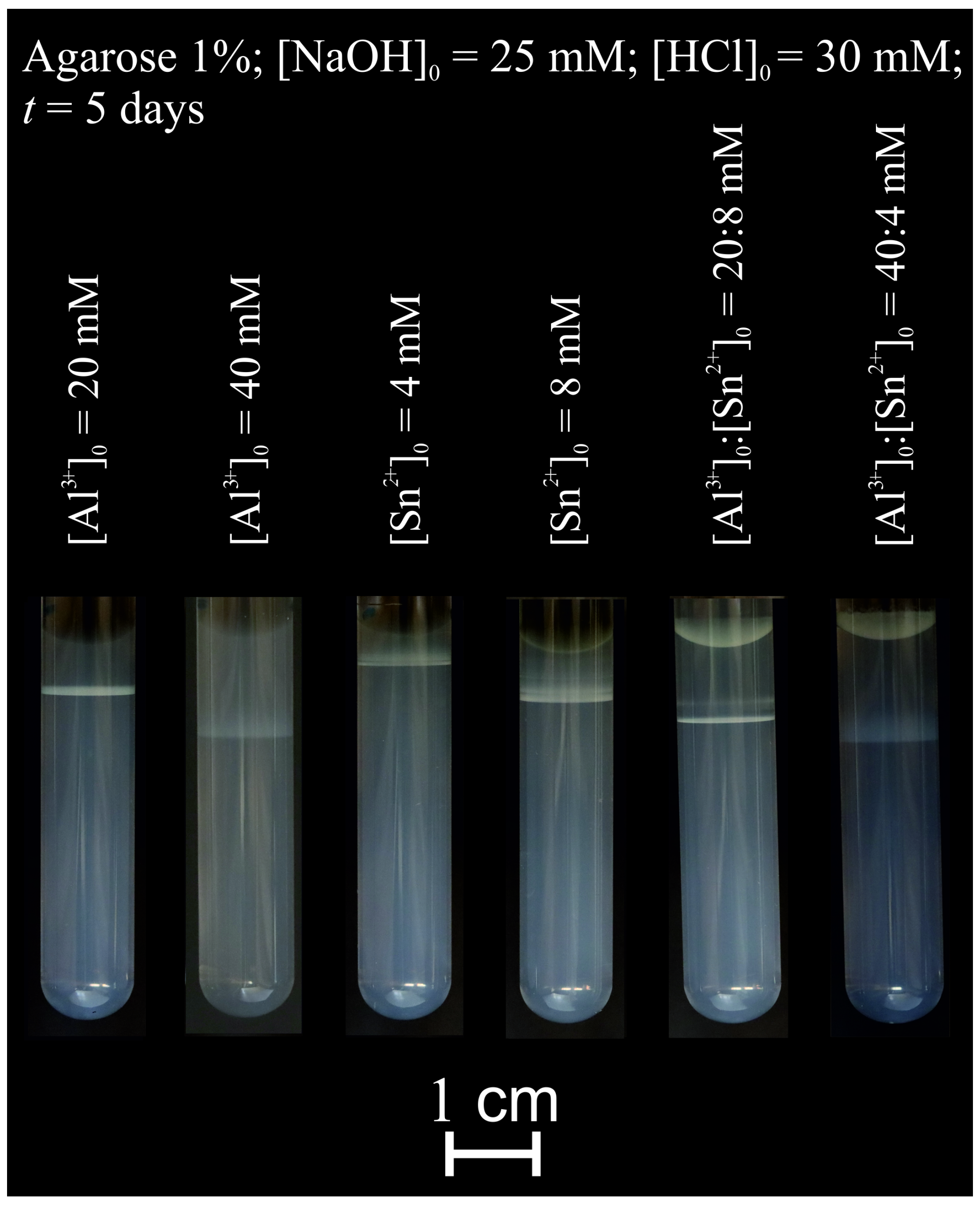 Molecules 30 01323 g006