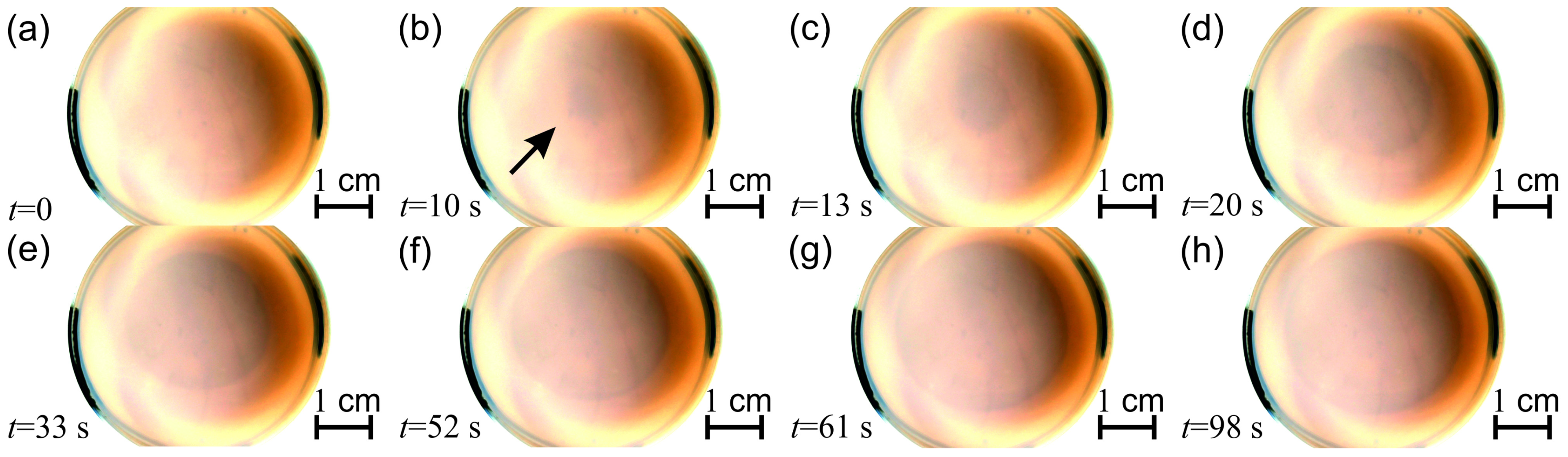 Molecules 30 01323 g007
