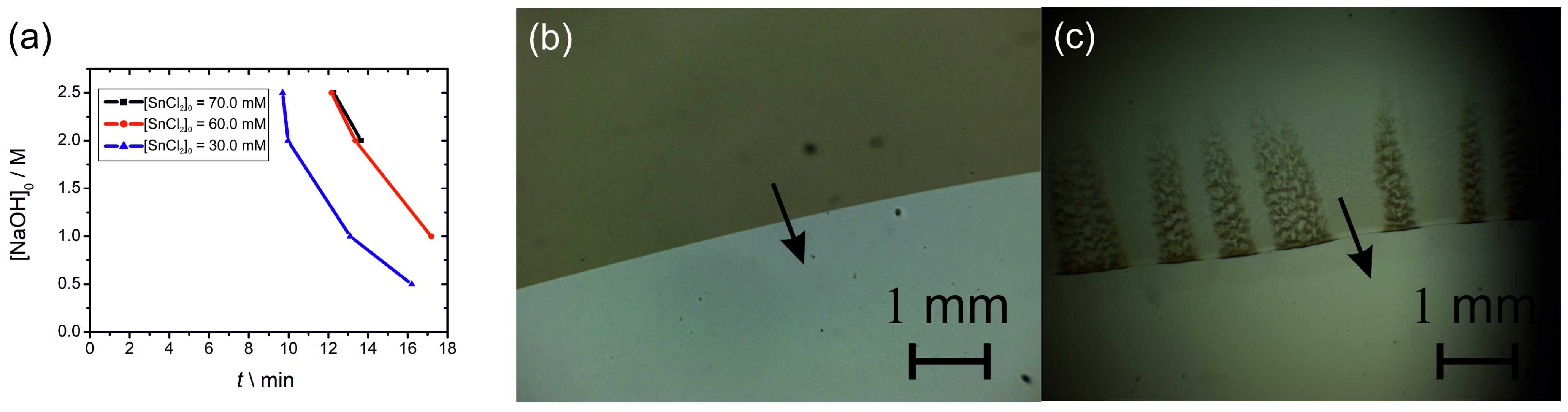 Molecules 30 01323 g008