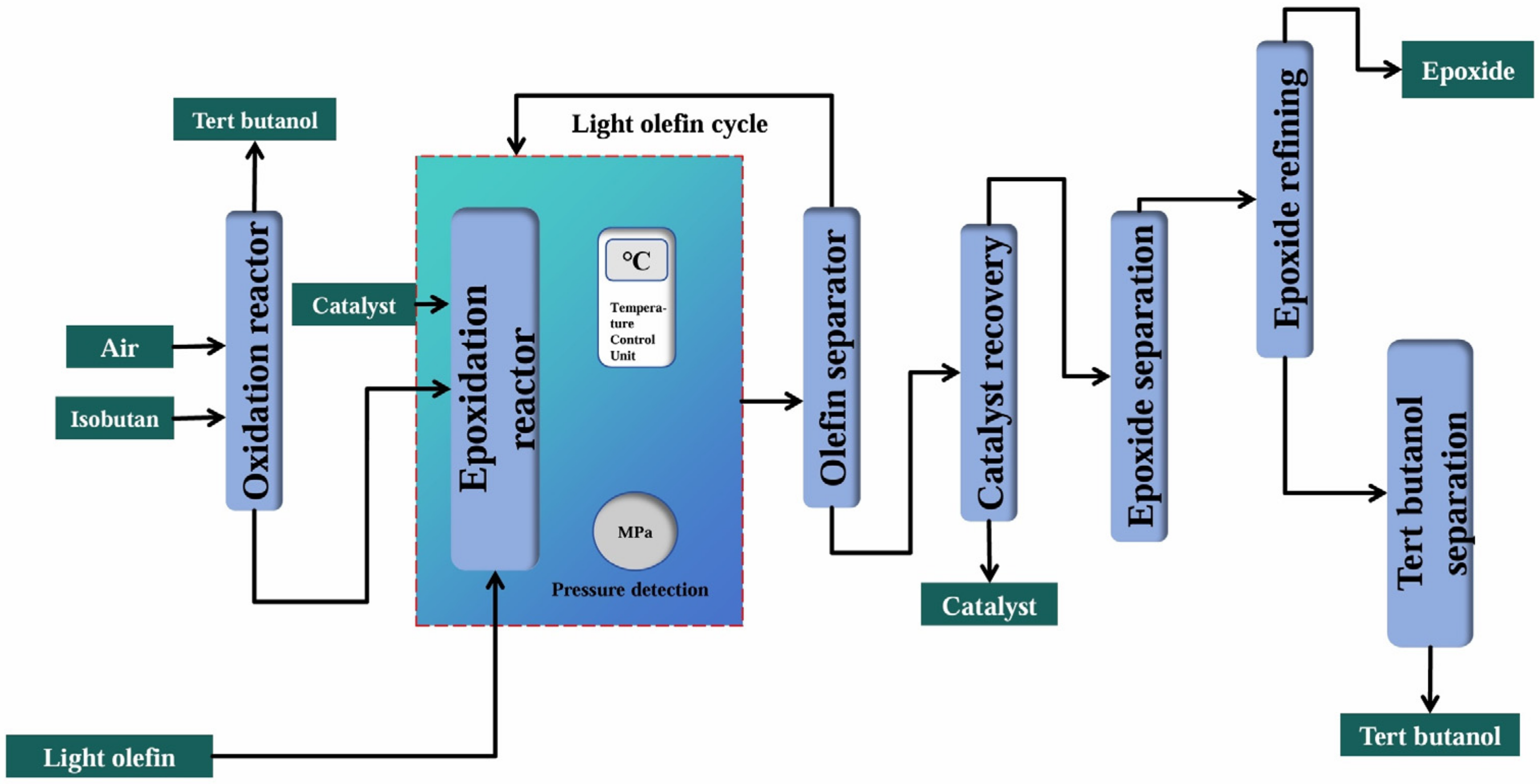 Molecules 30 01340 g005