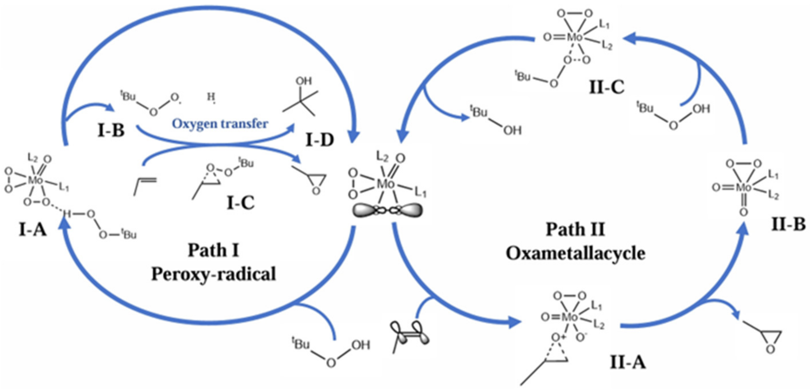 Molecules 30 01340 g020