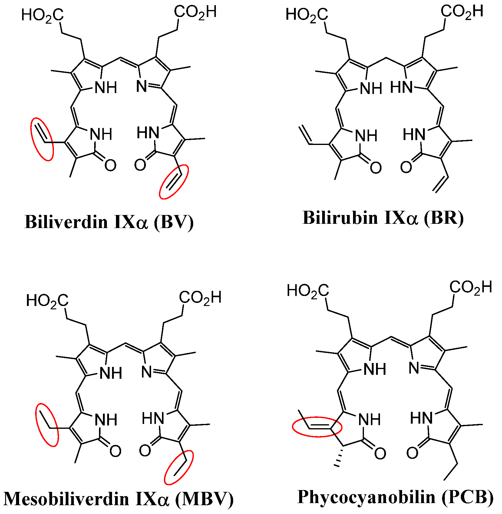 Molecules 30 01379 g004