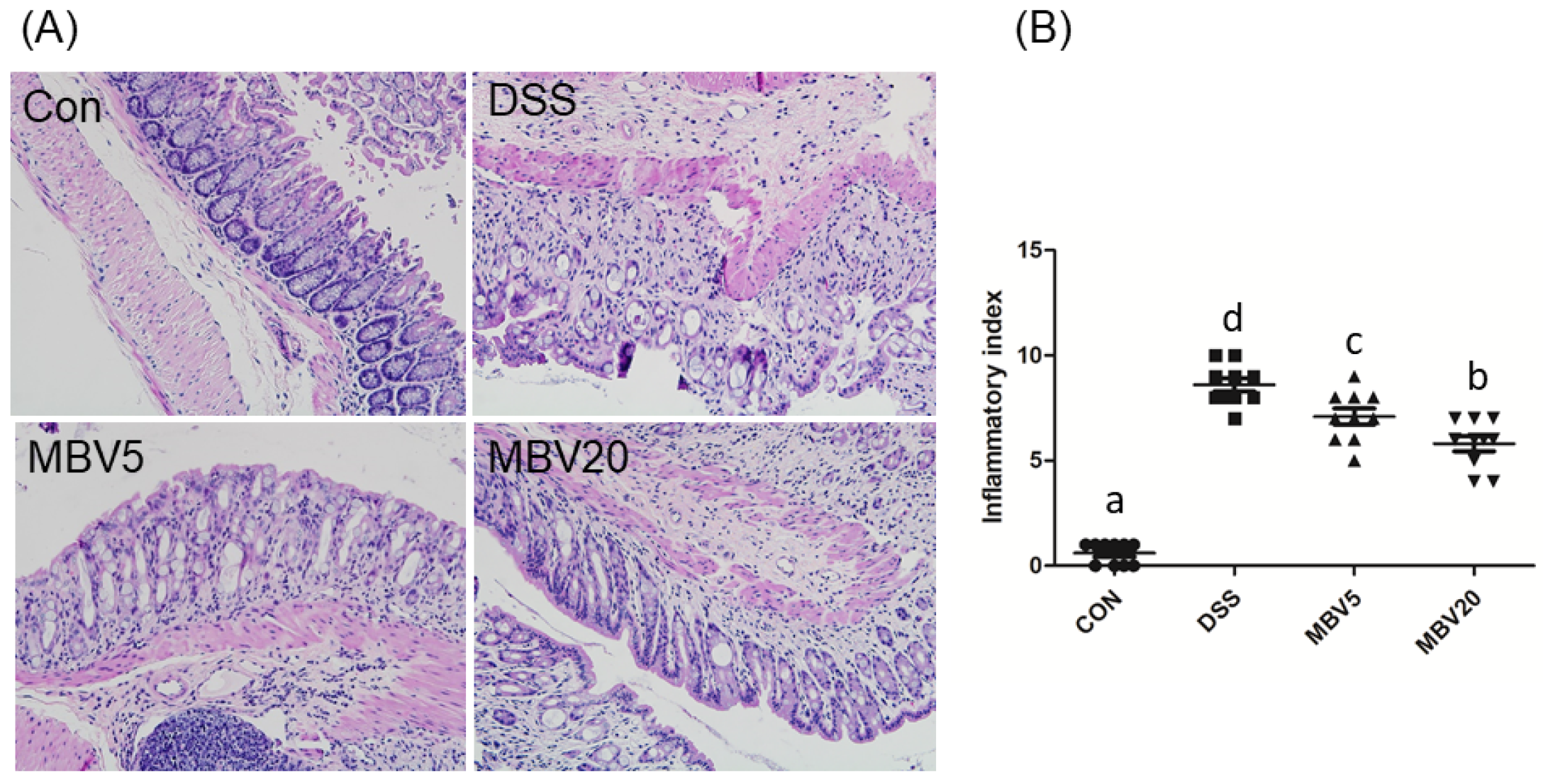 Molecules 30 01379 g005