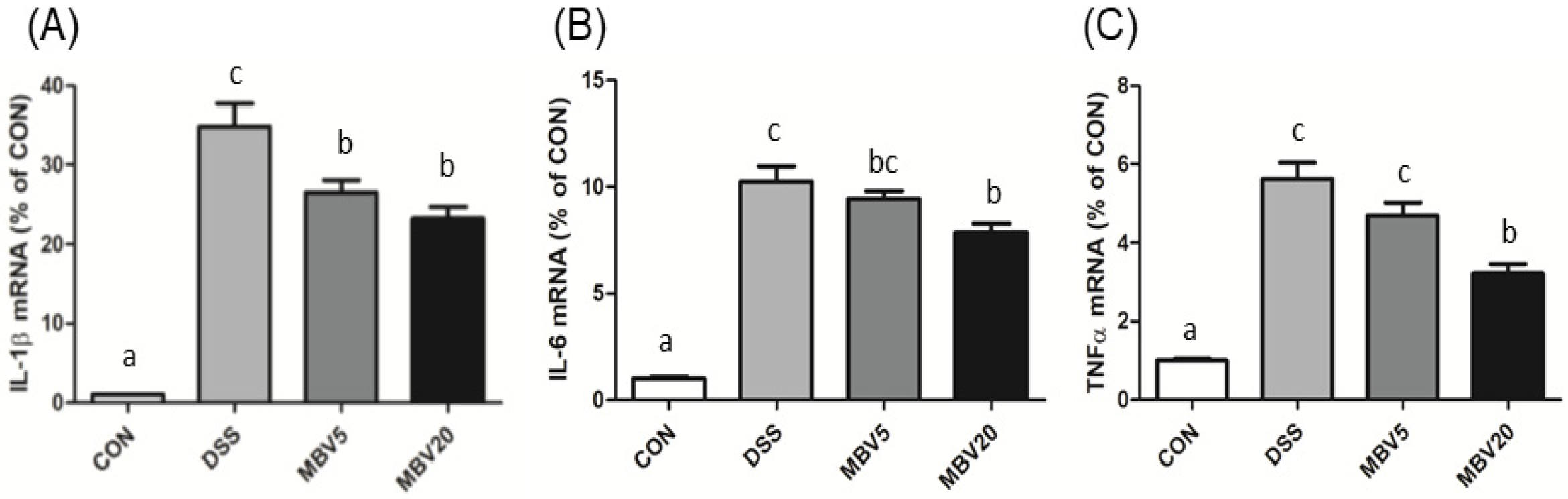 Molecules 30 01379 g006