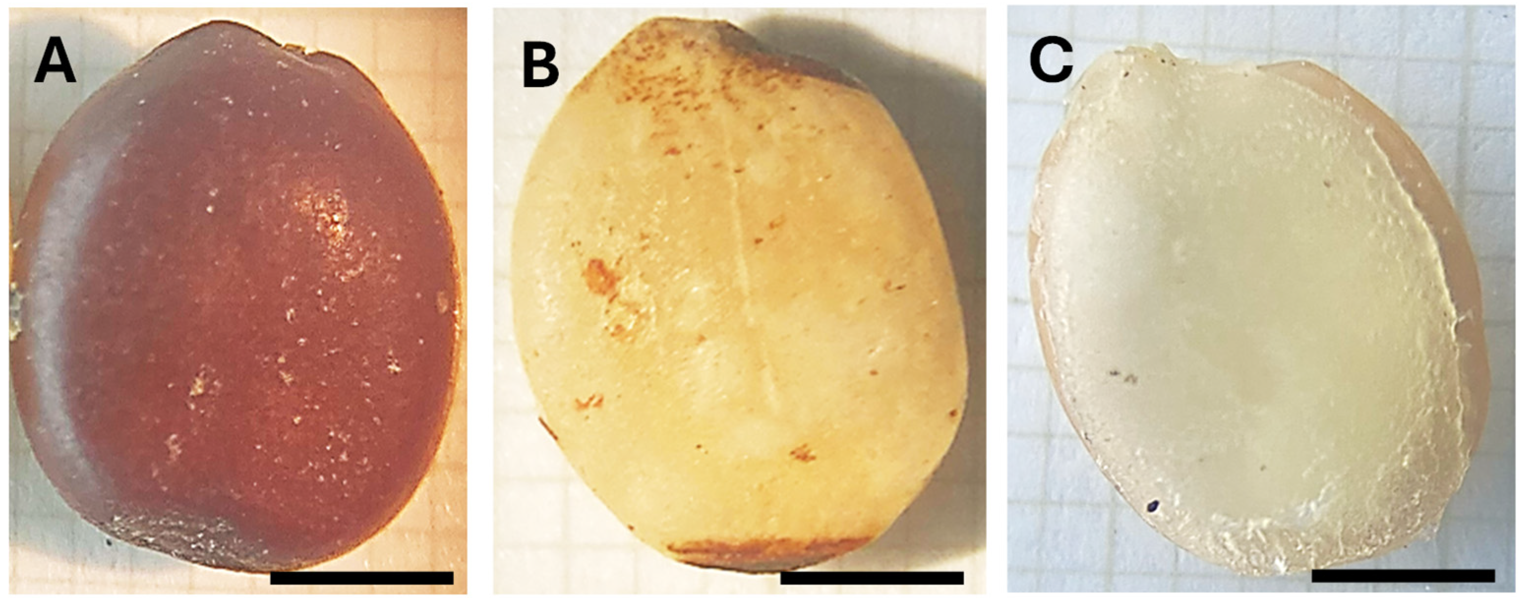 Molecules 30 01397 g006