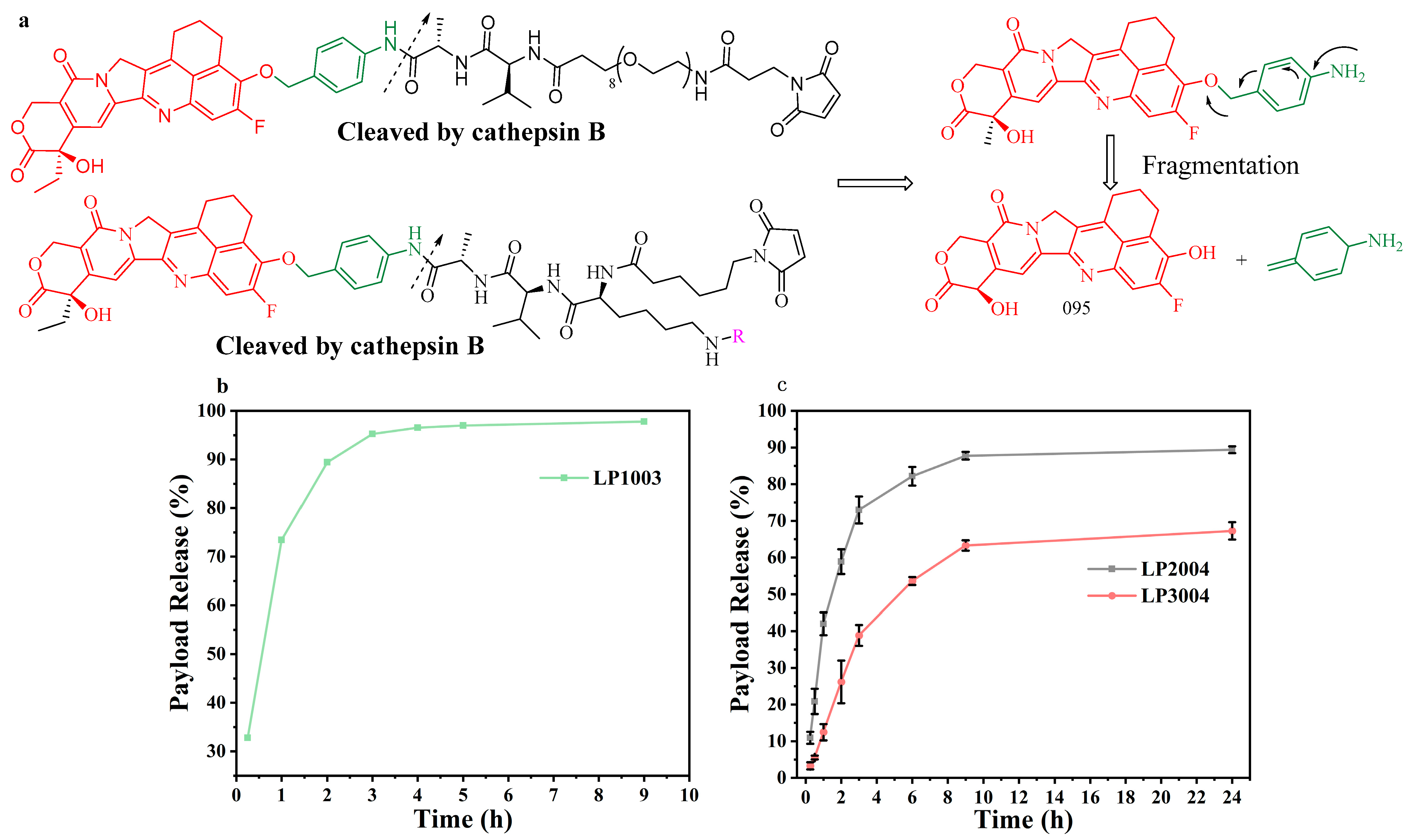 Molecules 30 01398 g003