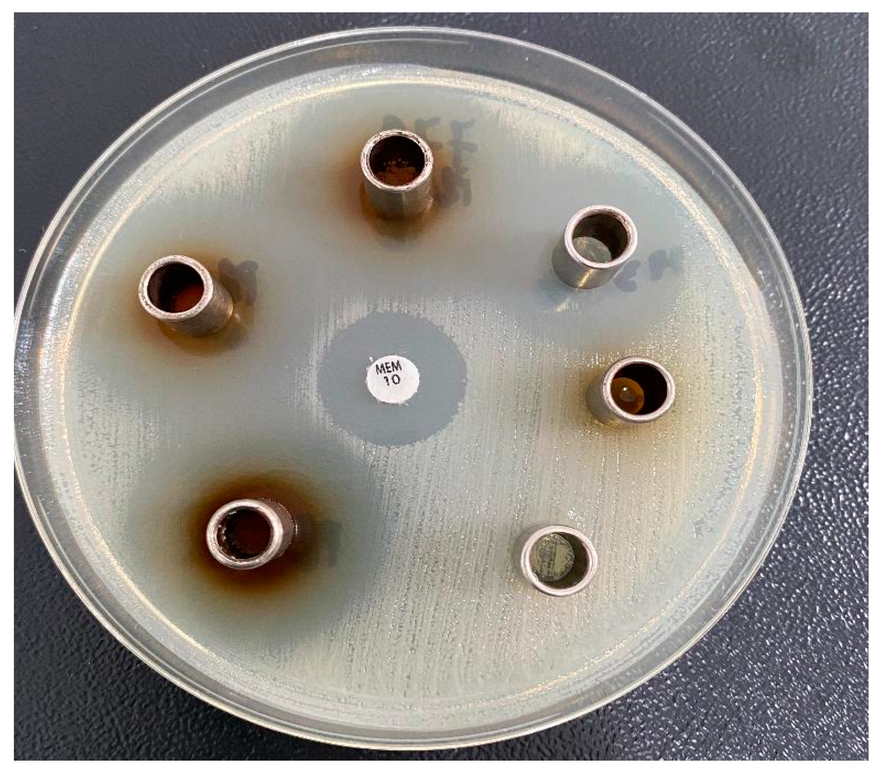 Molecules 30 01426 g015