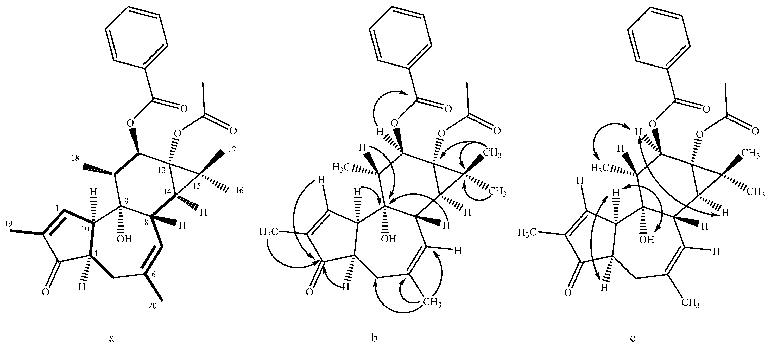 Molecules 30 01452 g002