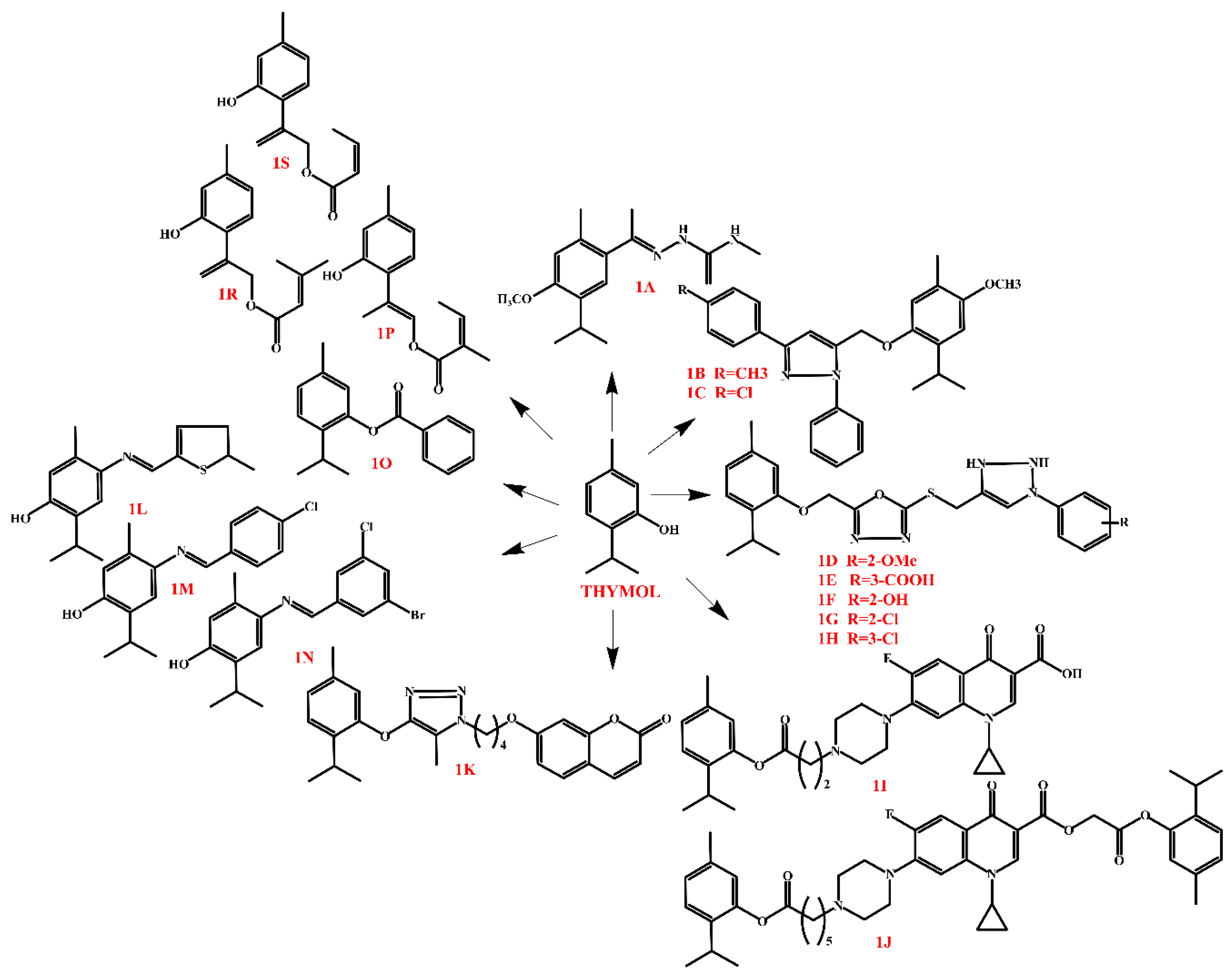 Molecules 30 01480 g007