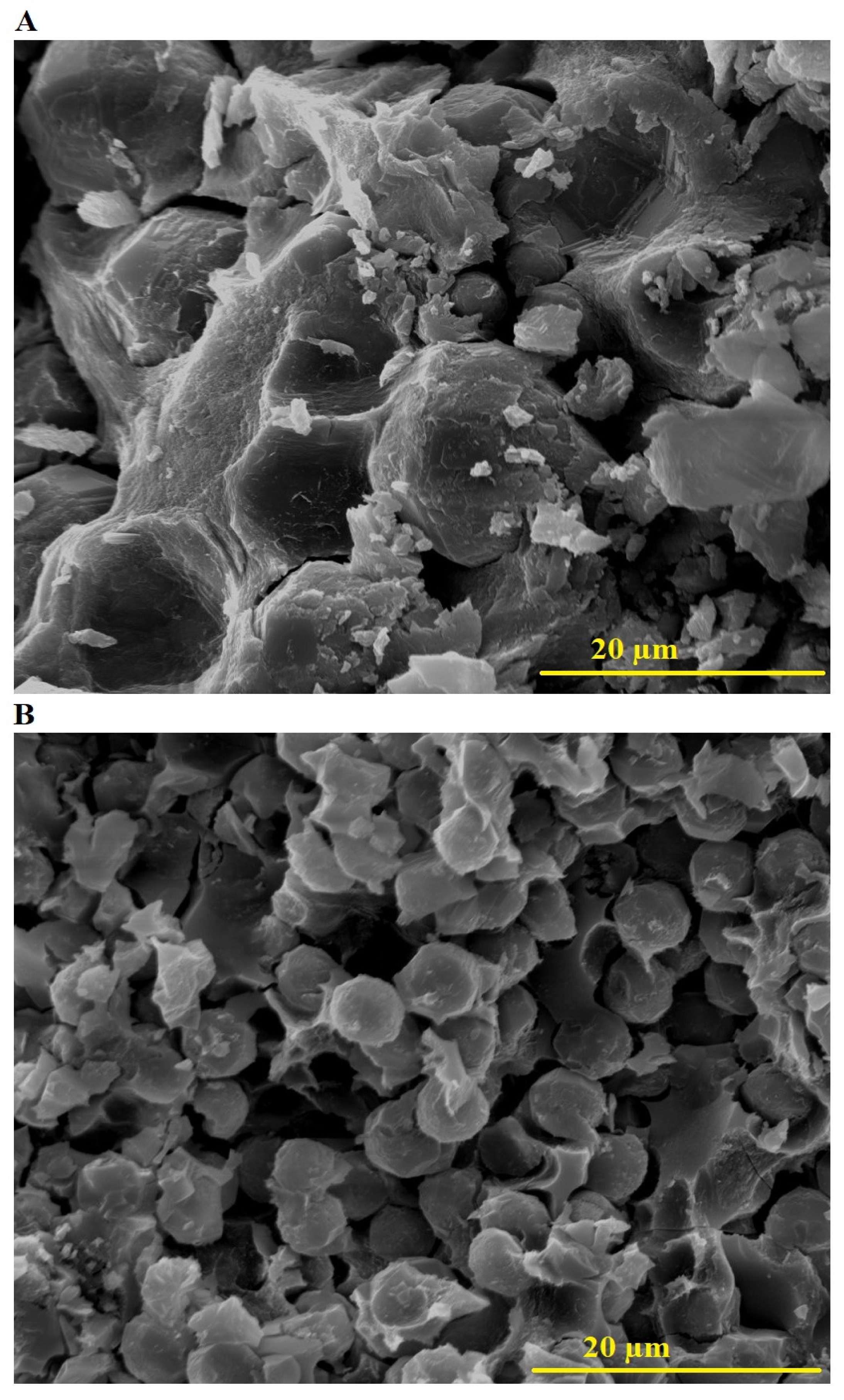 Molecules 30 01488 g003