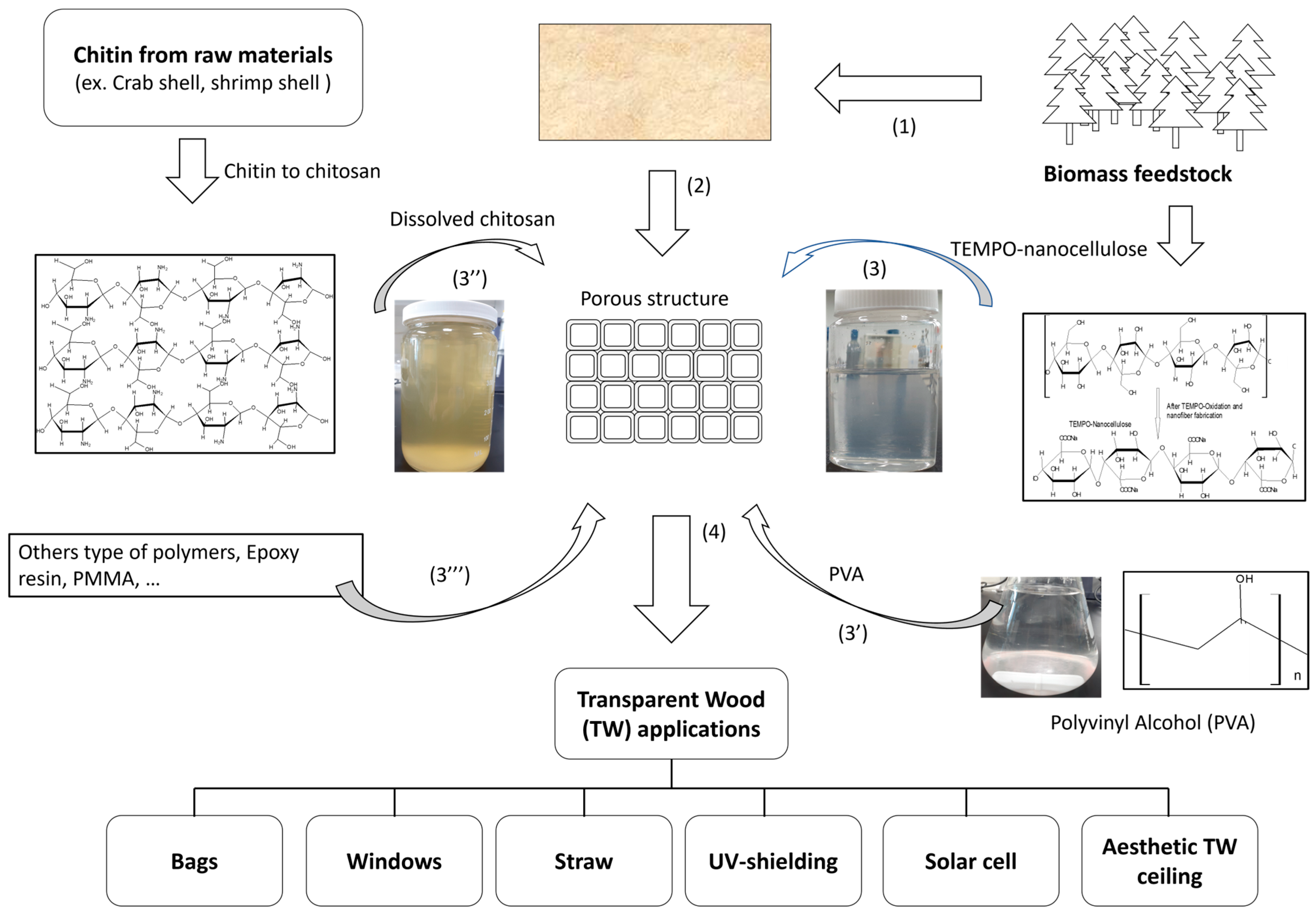 Molecules 30 01506 g003