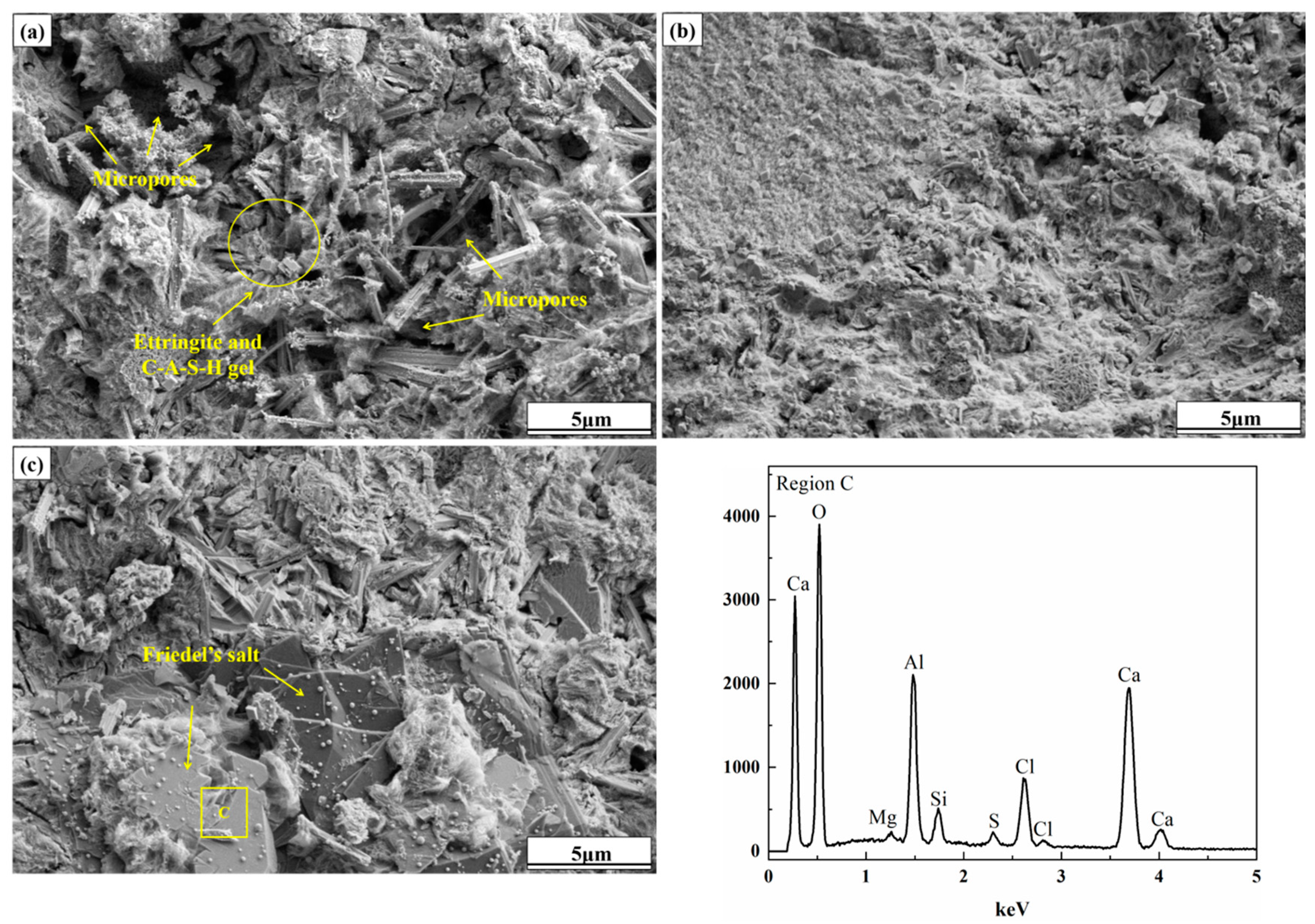 Molecules 30 01520 g006