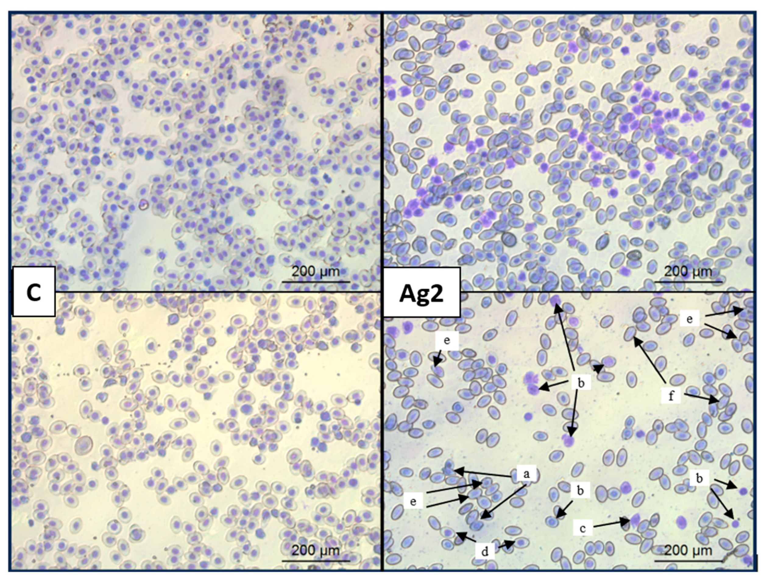 Molecules 30 01521 g006