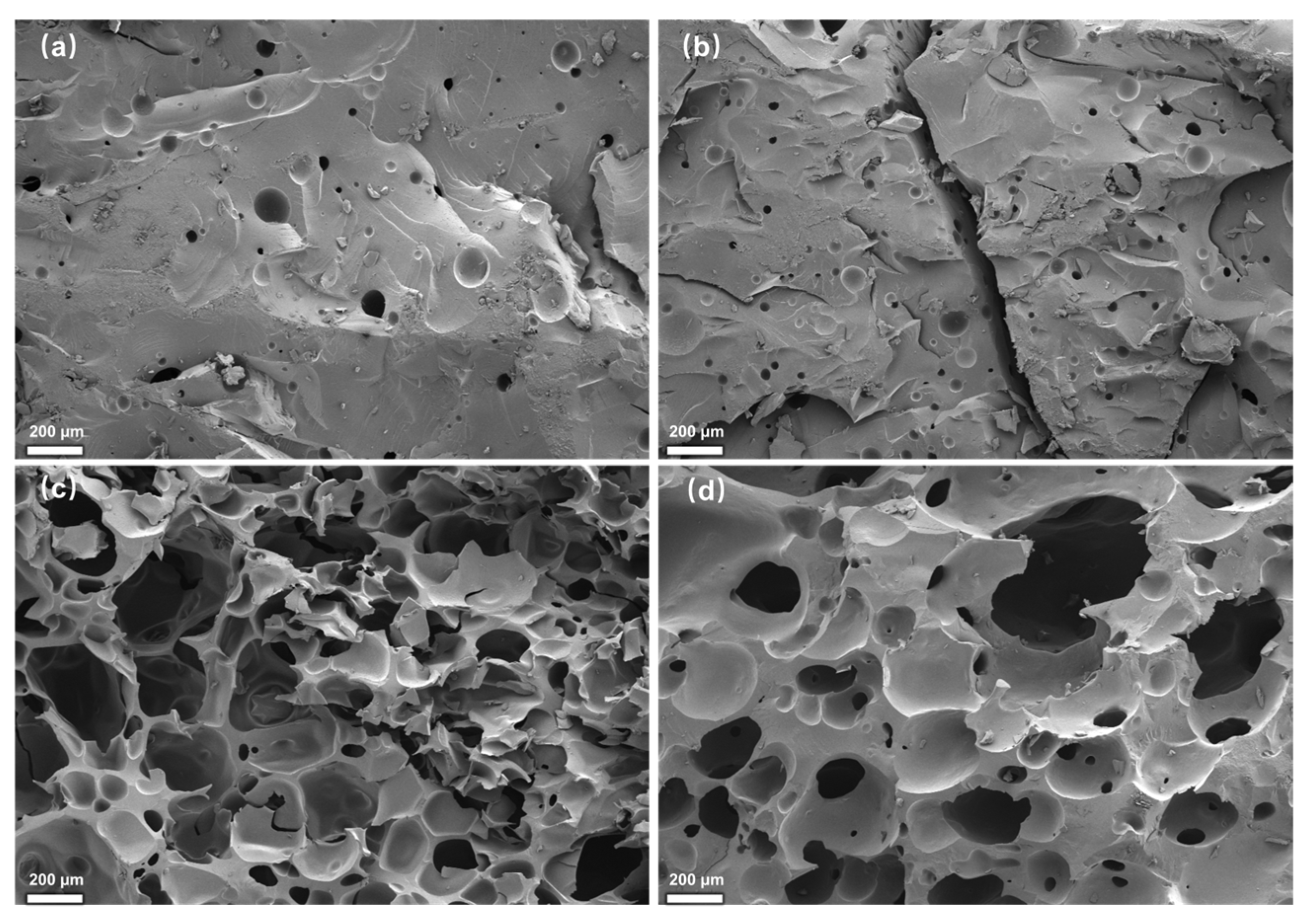 Molecules 30 01541 g005
