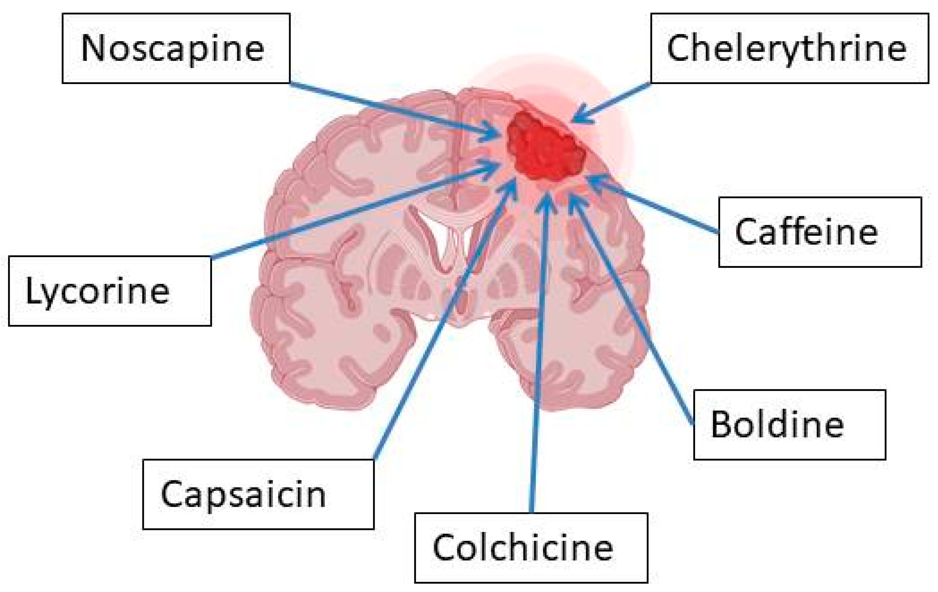 Molecules 30 01561 g004 Molecules 30 01561 g004