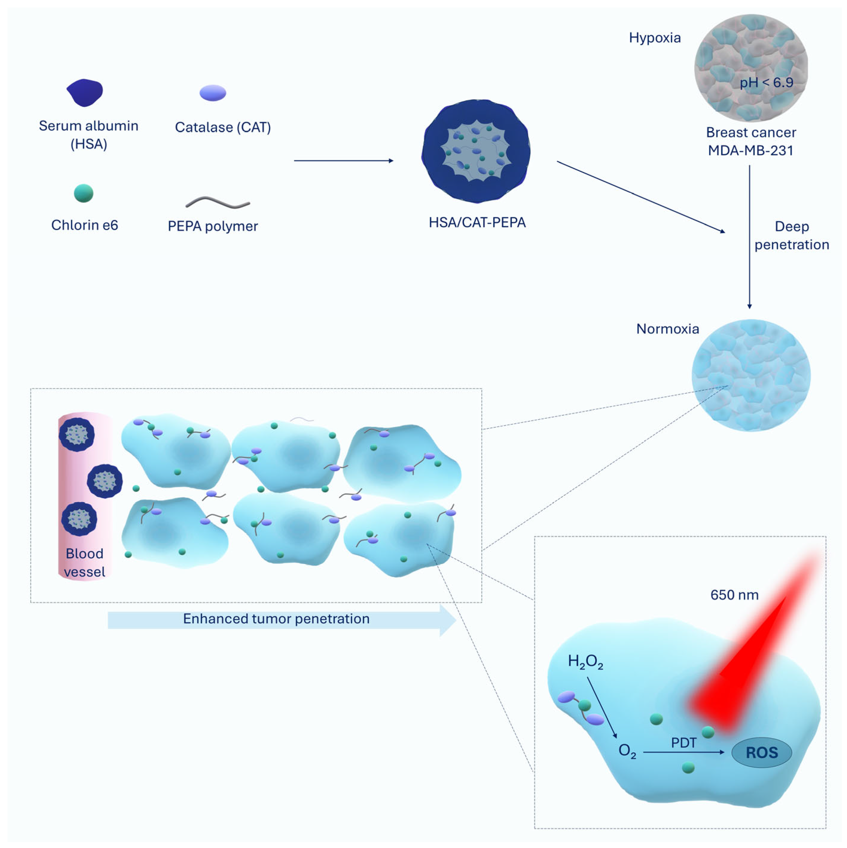 Molecules 30 01571 g001
