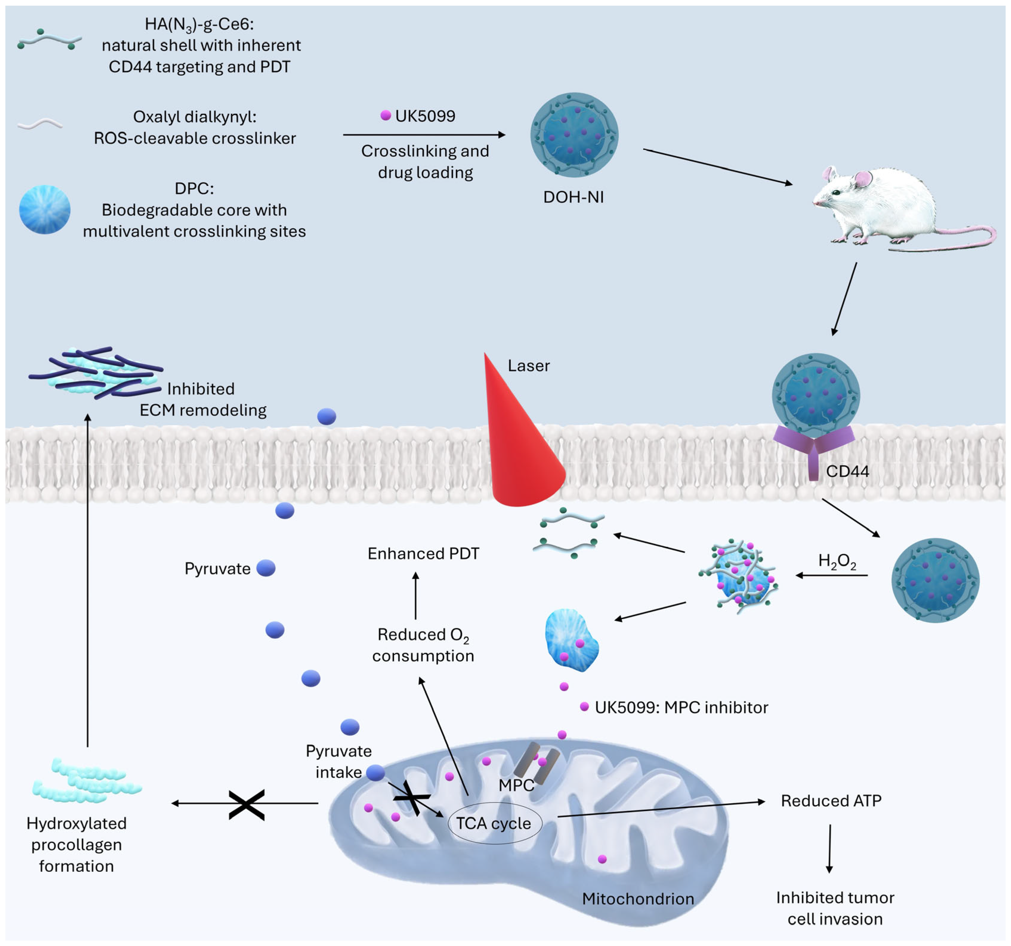 Molecules 30 01571 g002
