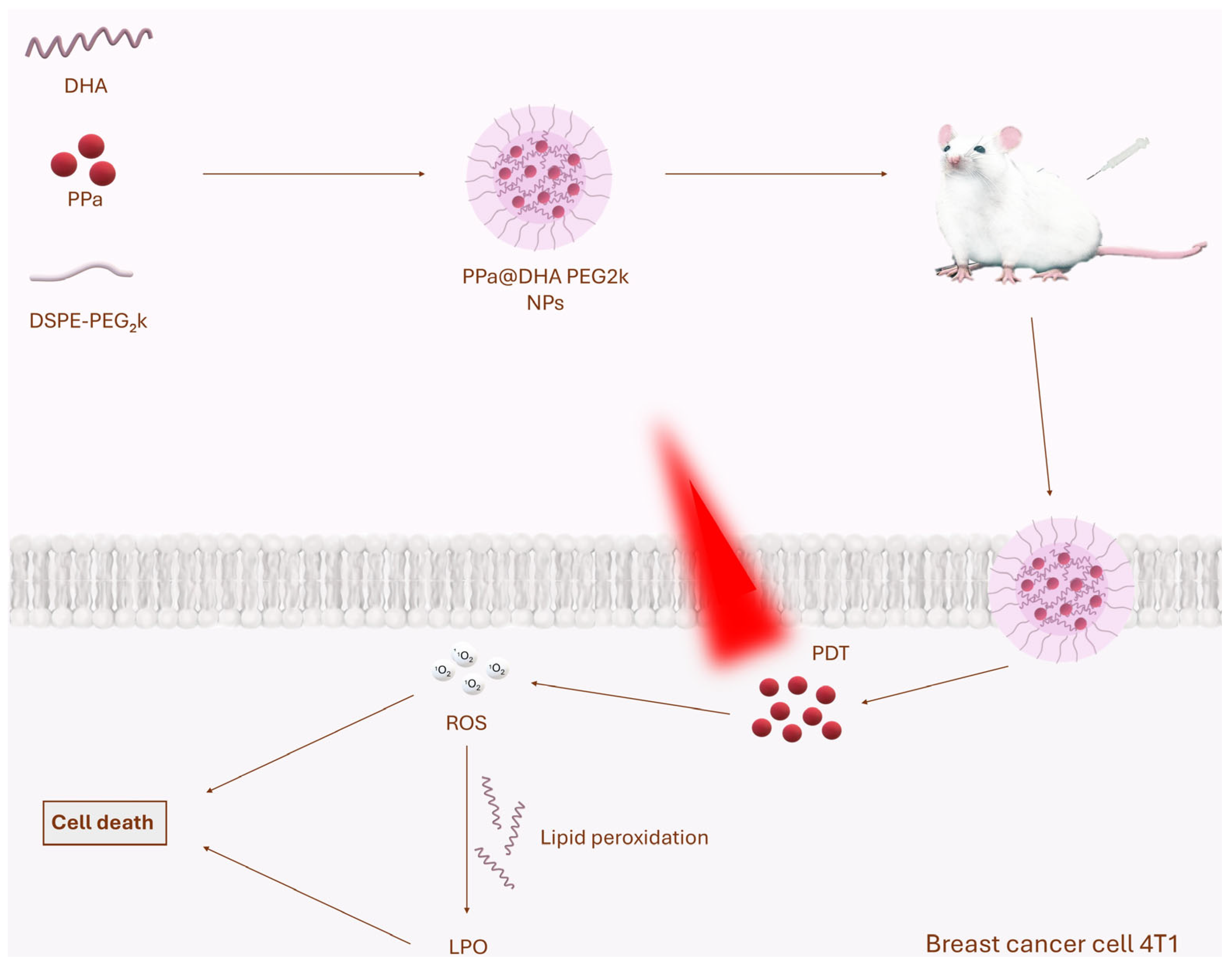 Molecules 30 01571 g003