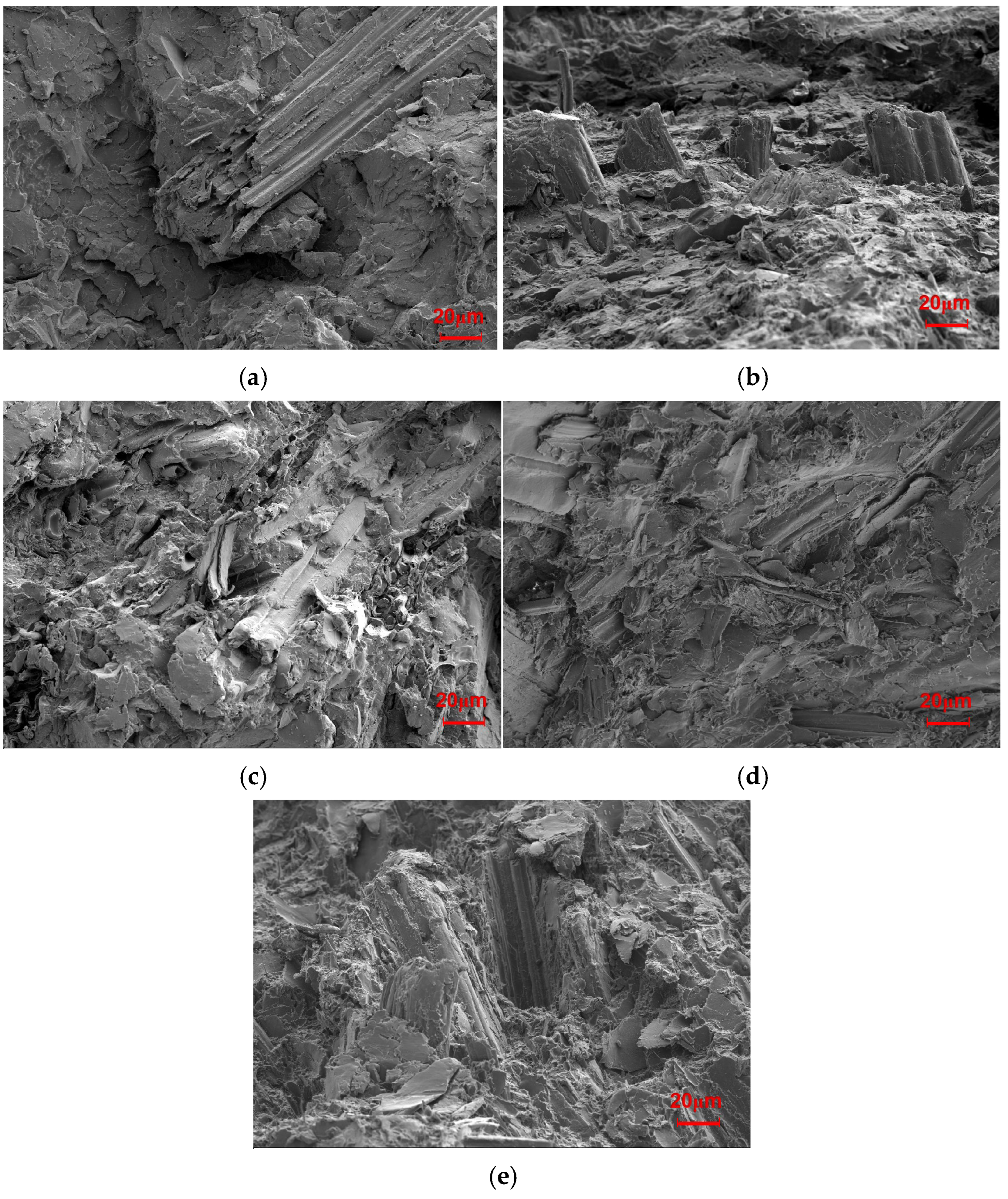 Molecules 30 01583 g002