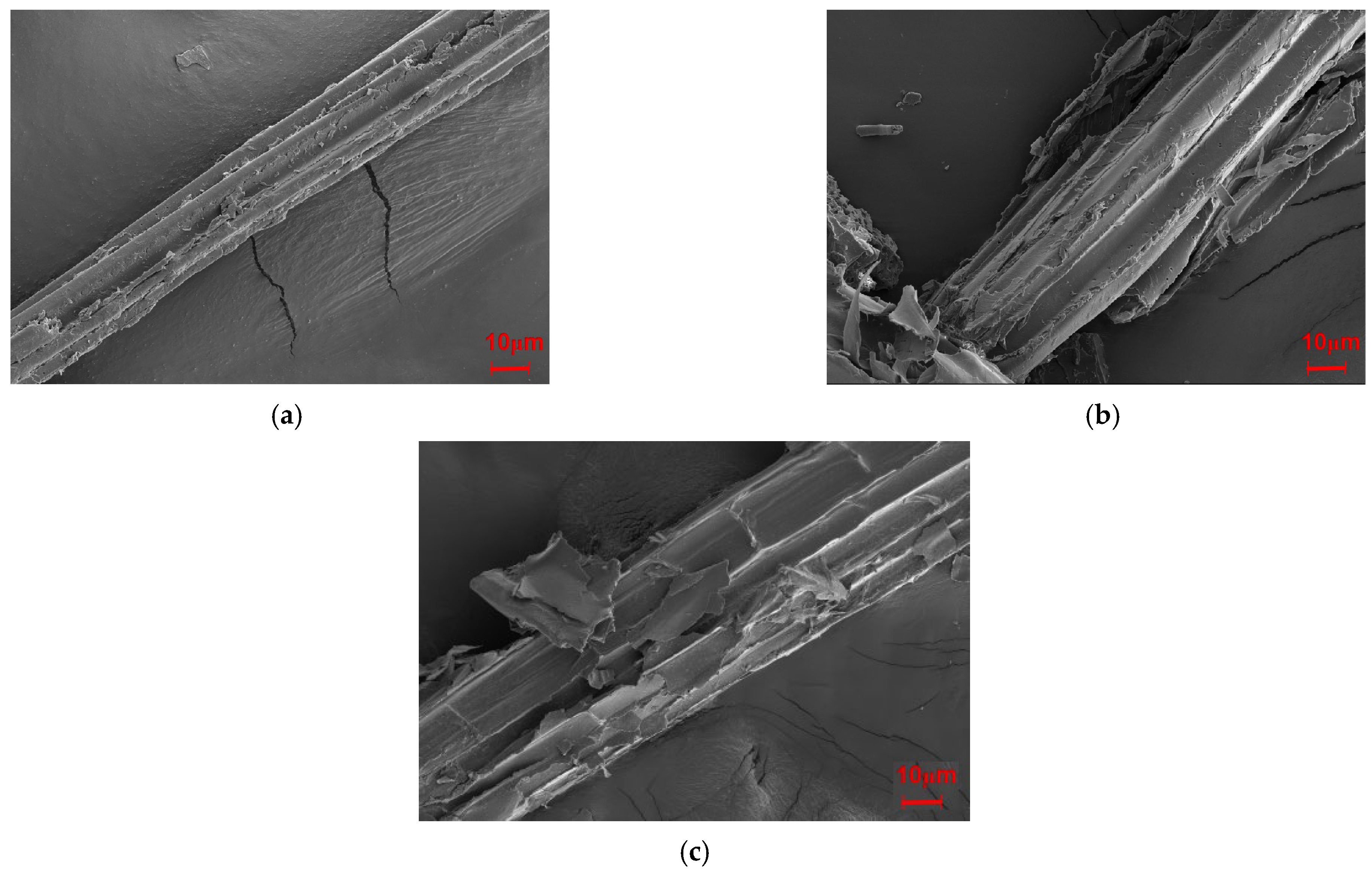 Molecules 30 01583 g008