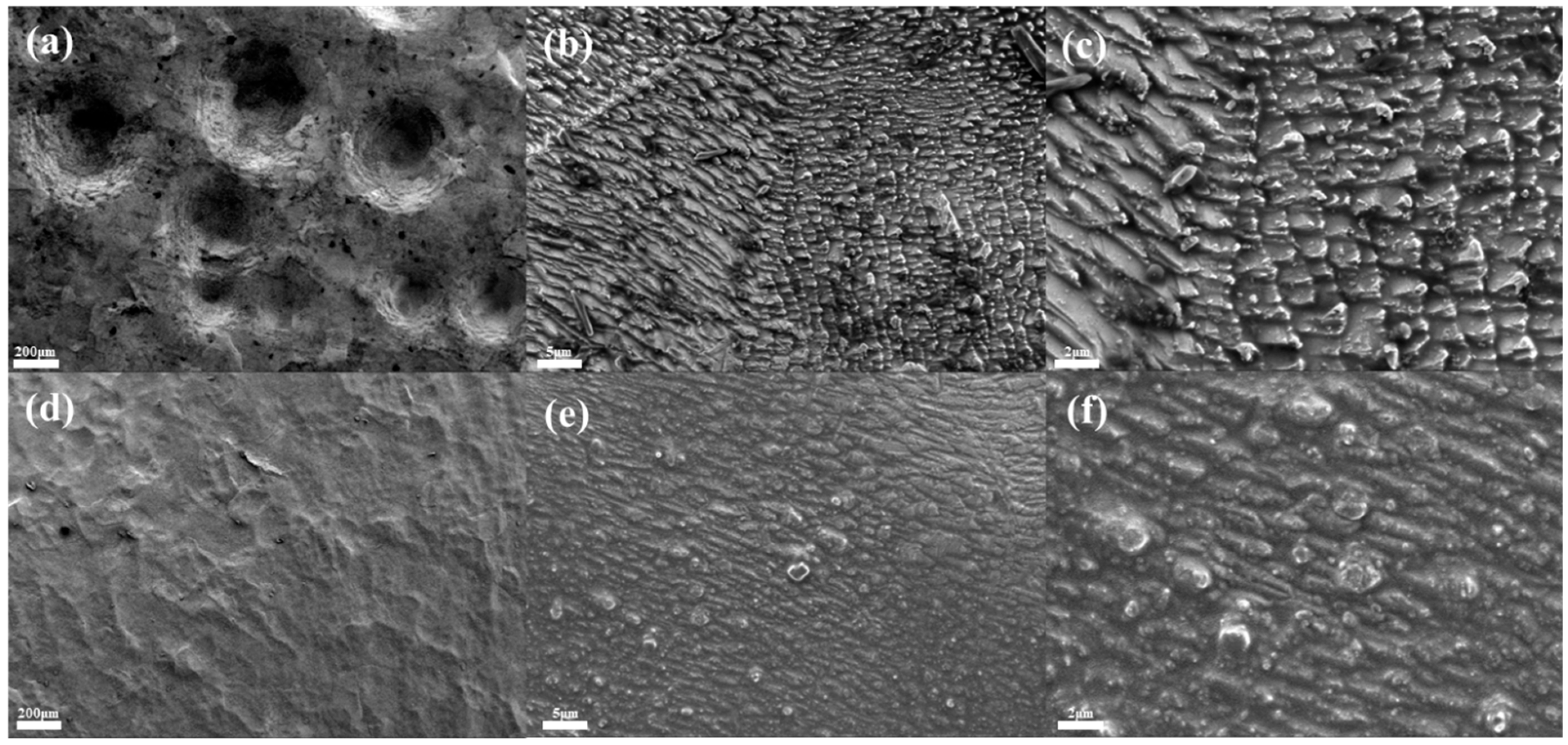 Molecules 30 01591 g004