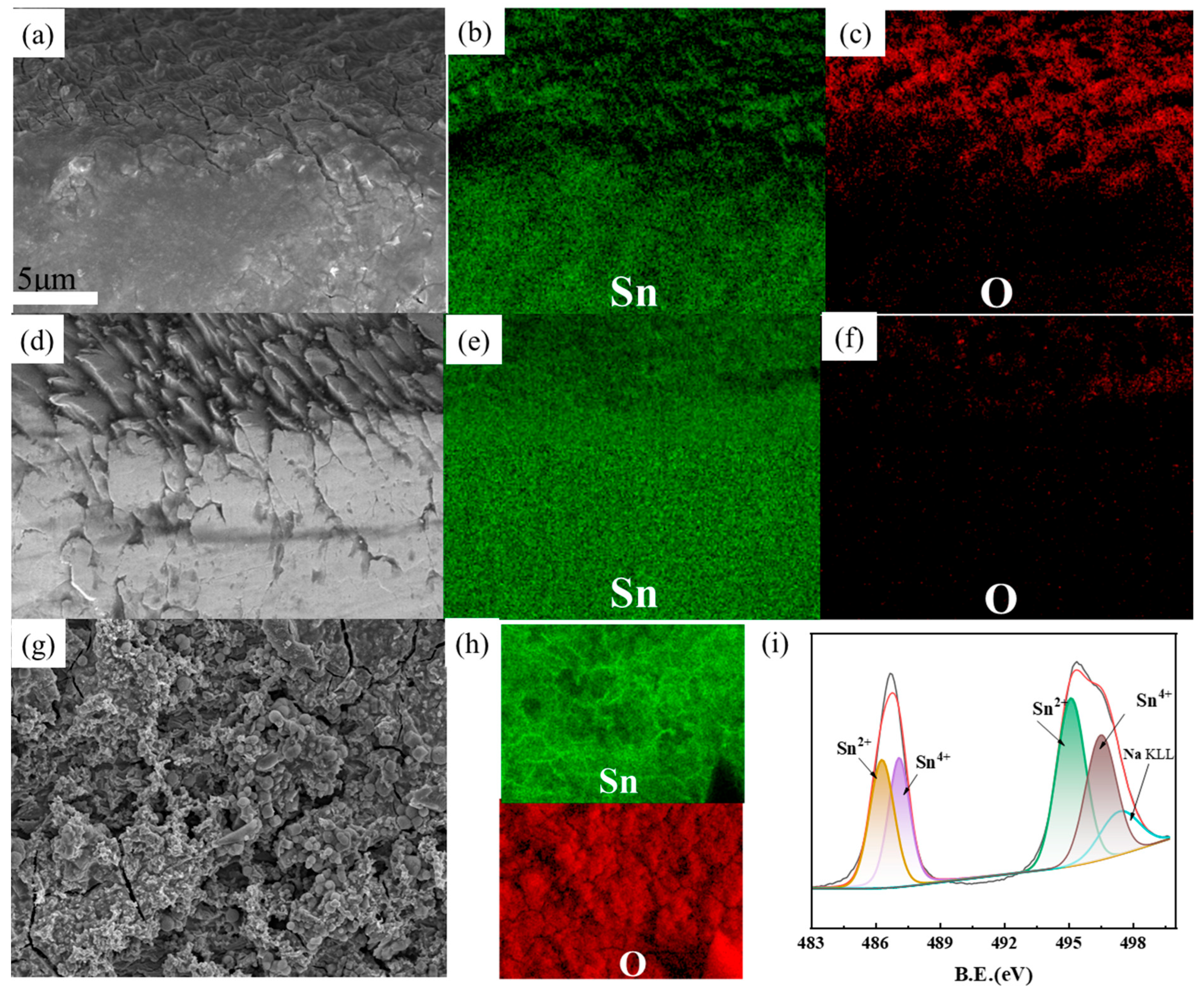 Molecules 30 01591 g007