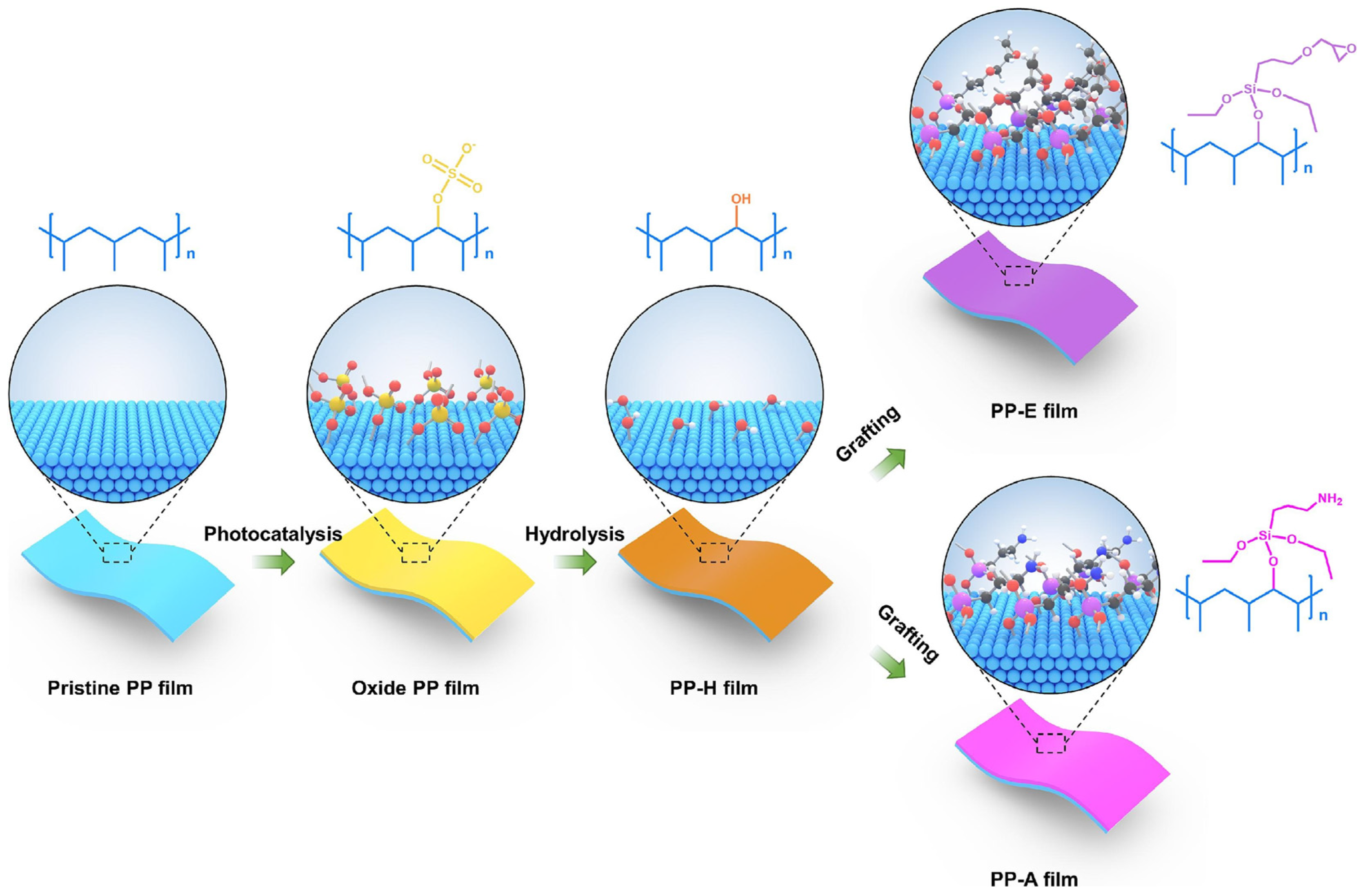 Molecules 30 01596 g008