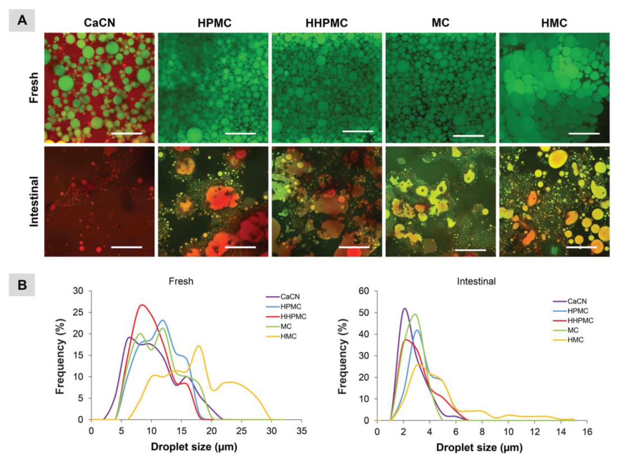Molecules 30 01610 g018