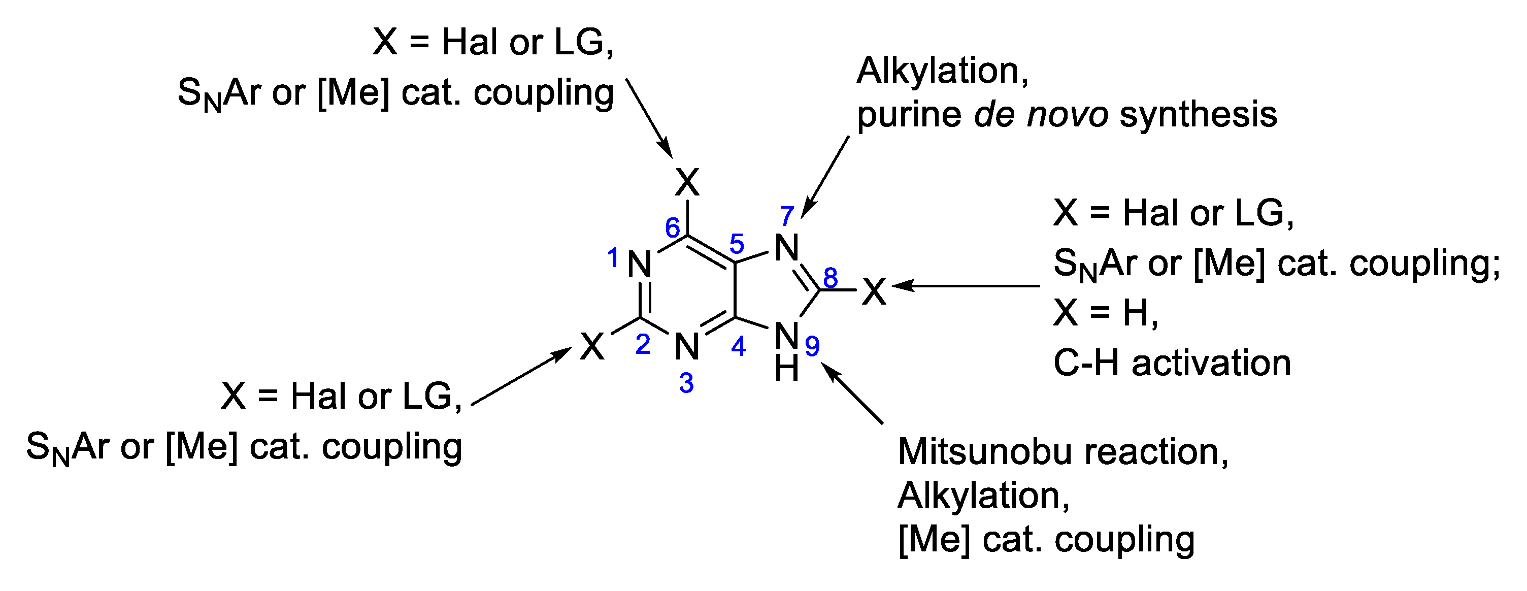 Molecules 30 01612 sch001