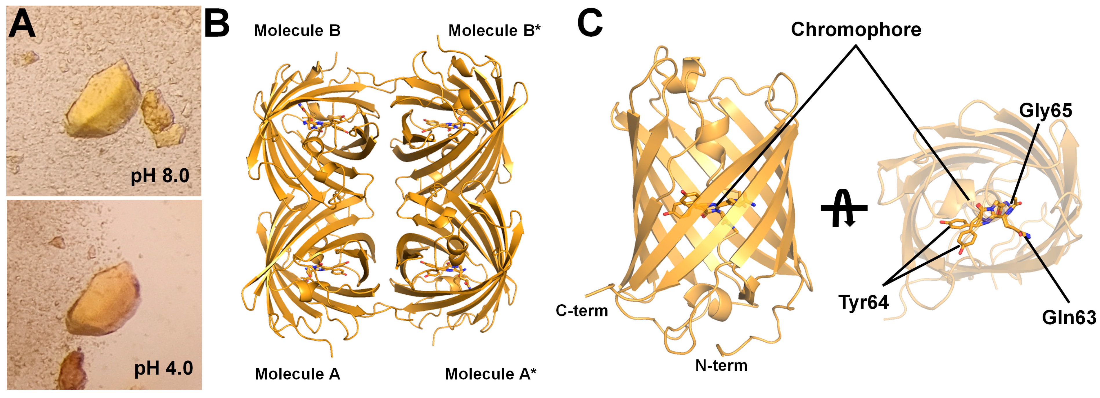Molecules 30 01623 g002