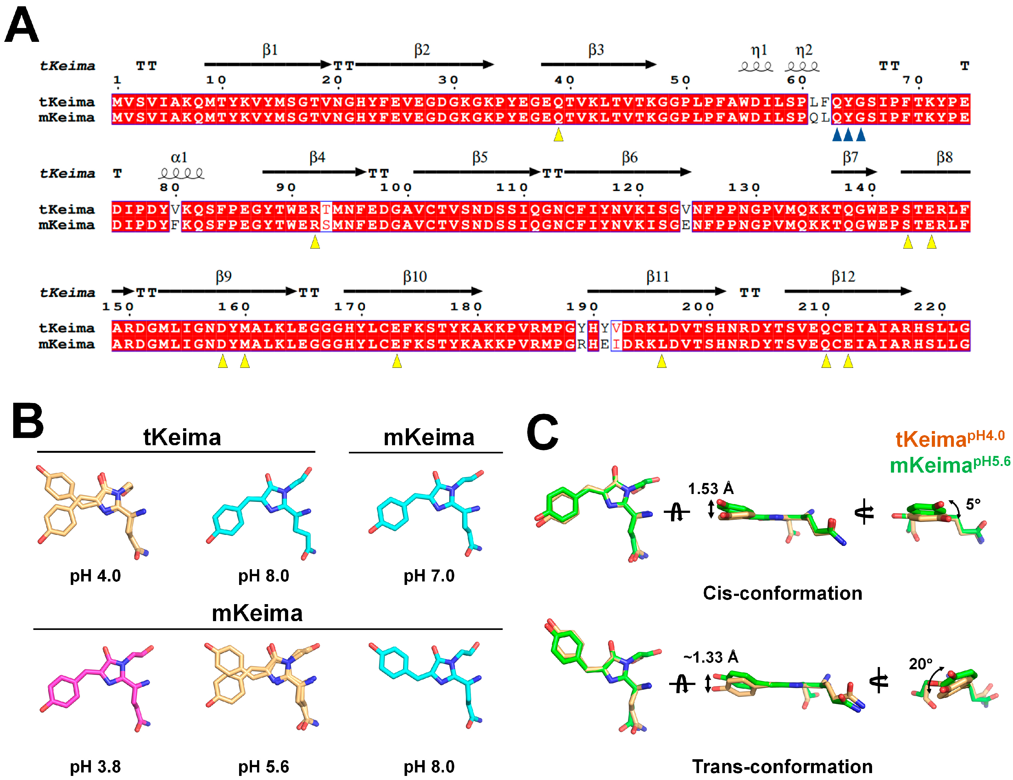 Molecules 30 01623 g005