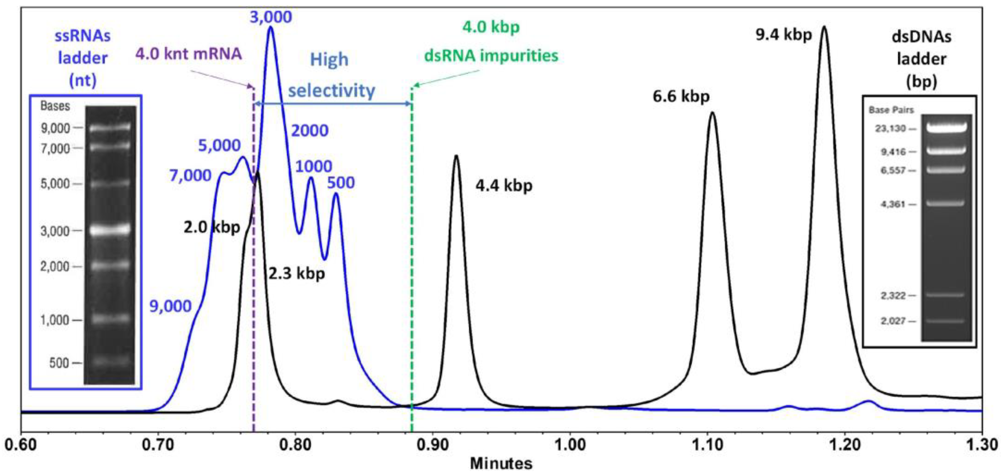 Molecules 30 01629 g005