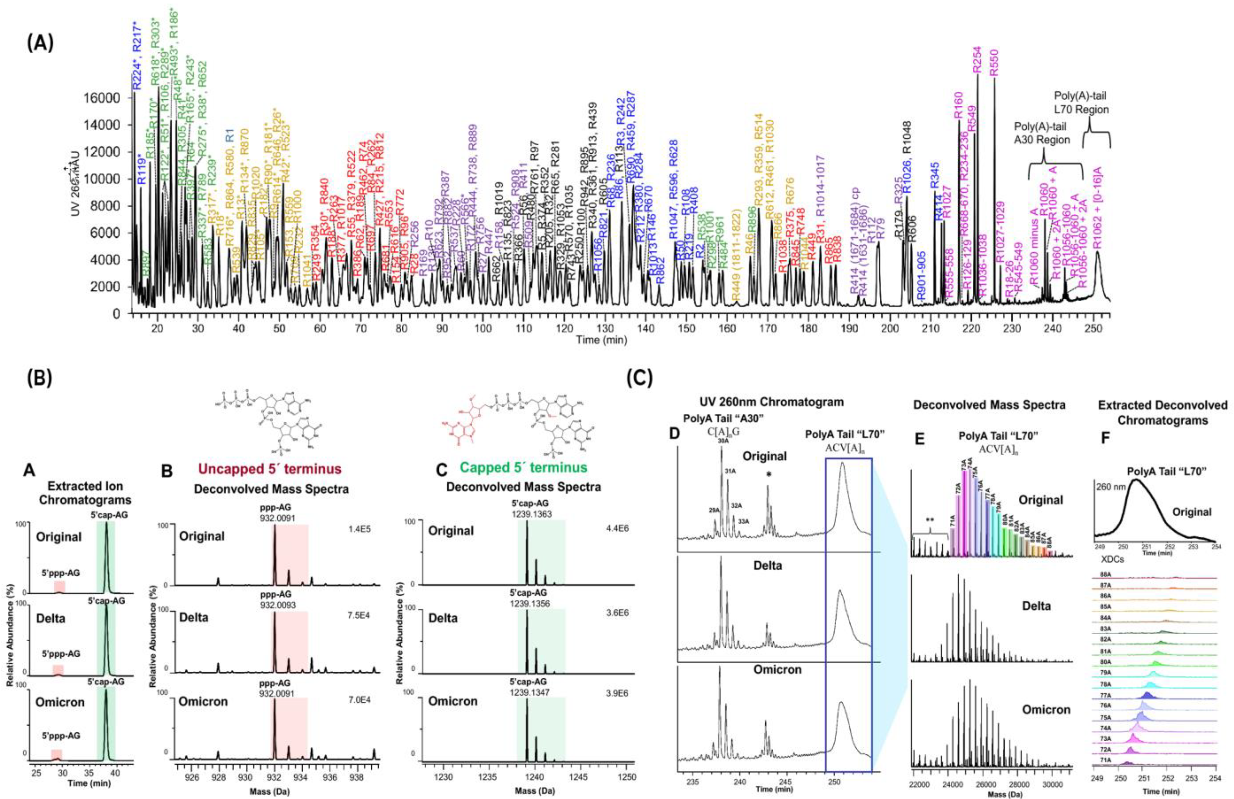 Molecules 30 01629 g008
