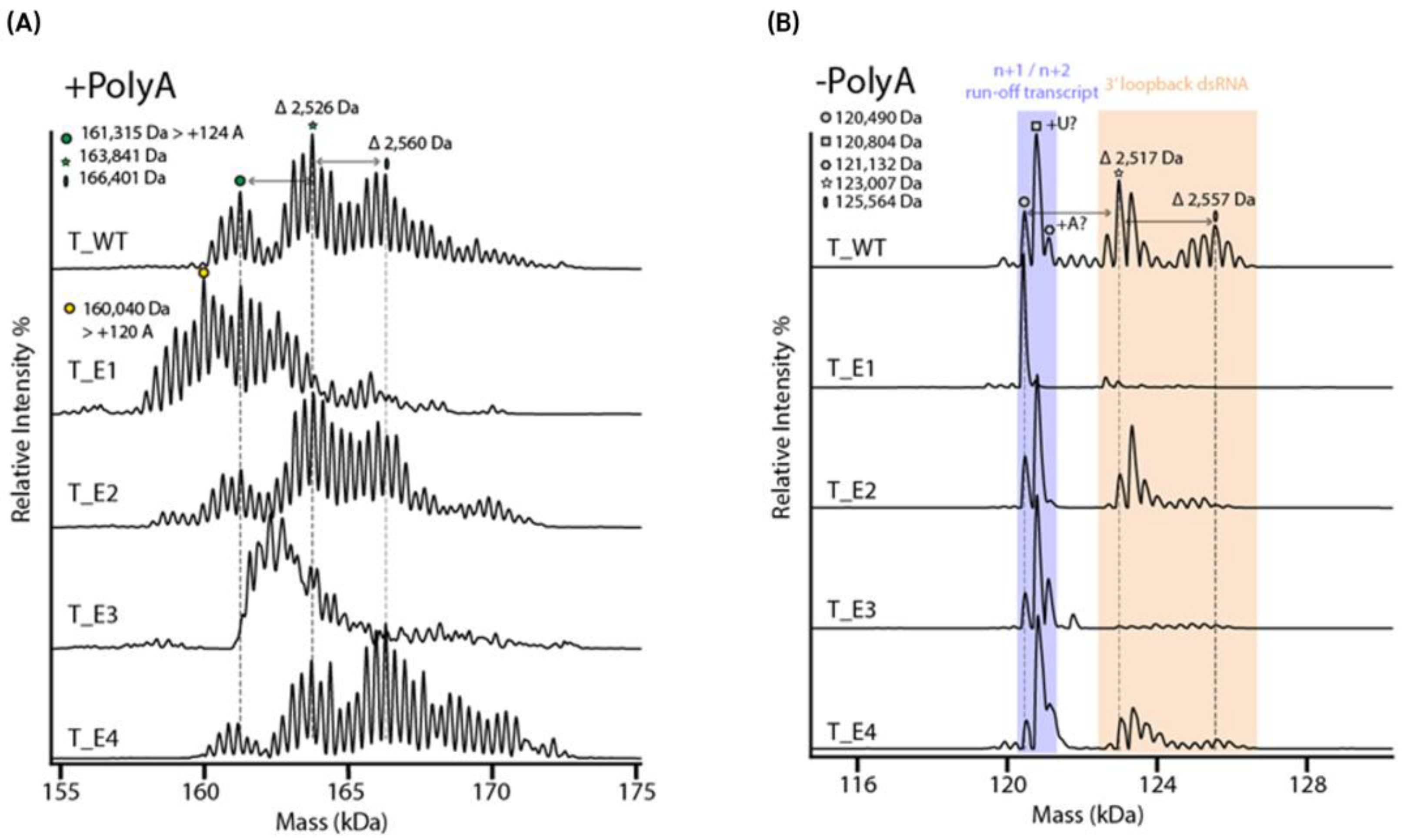 Molecules 30 01629 g009
