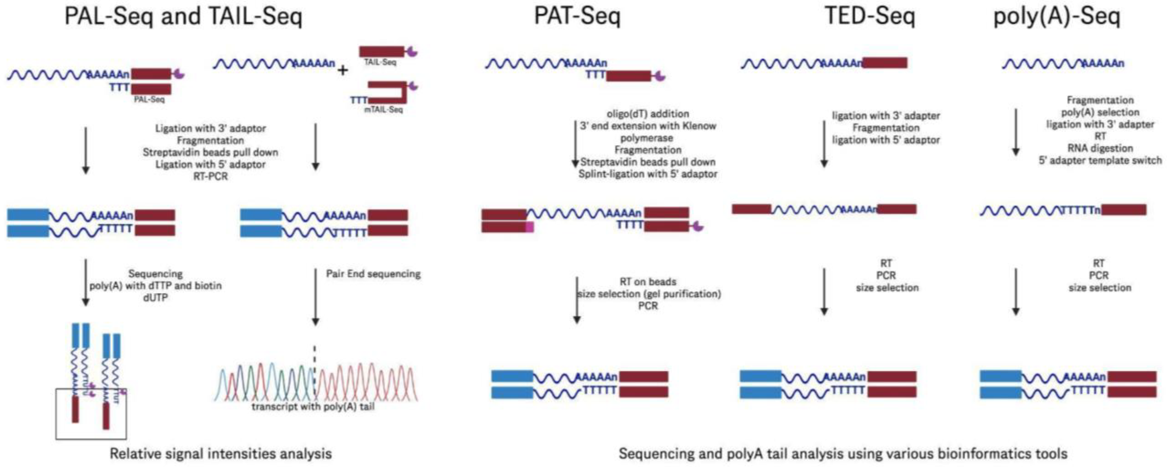 Molecules 30 01629 g010