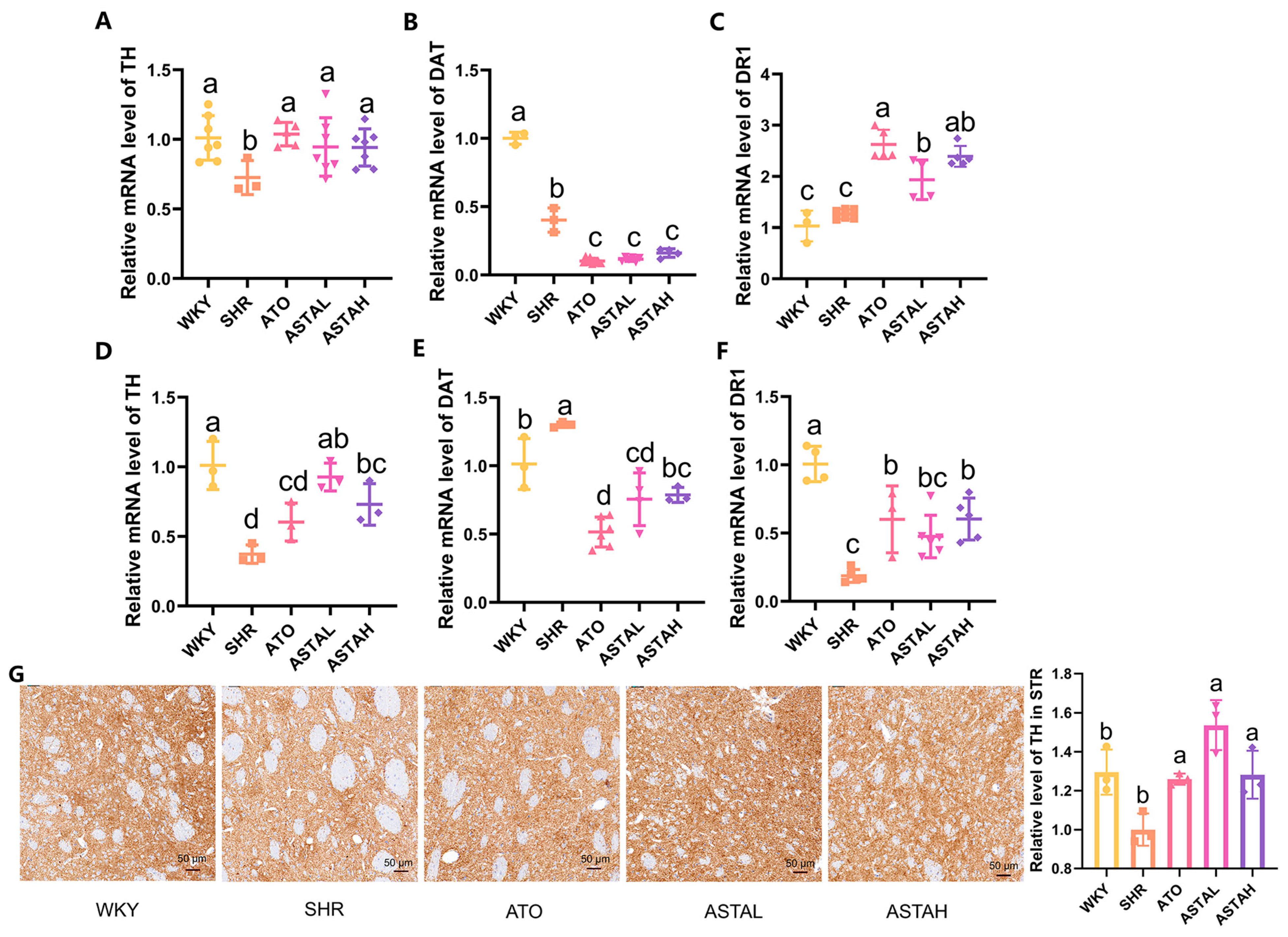 Molecules 30 01637 g004