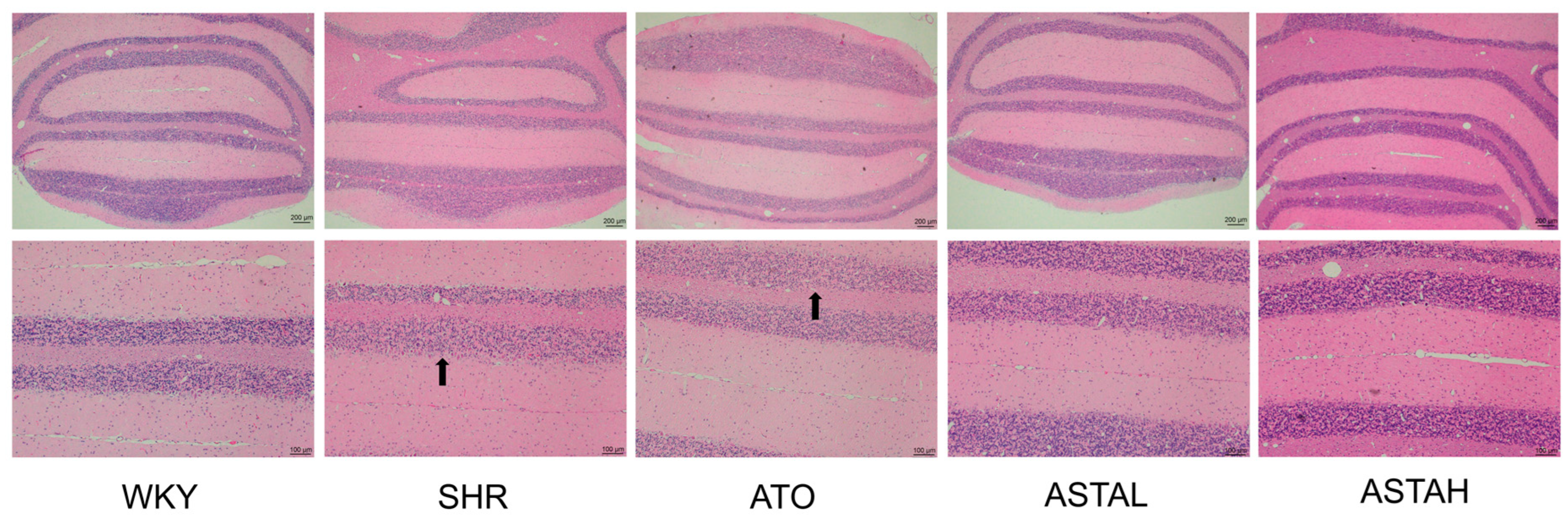 Molecules 30 01637 g006