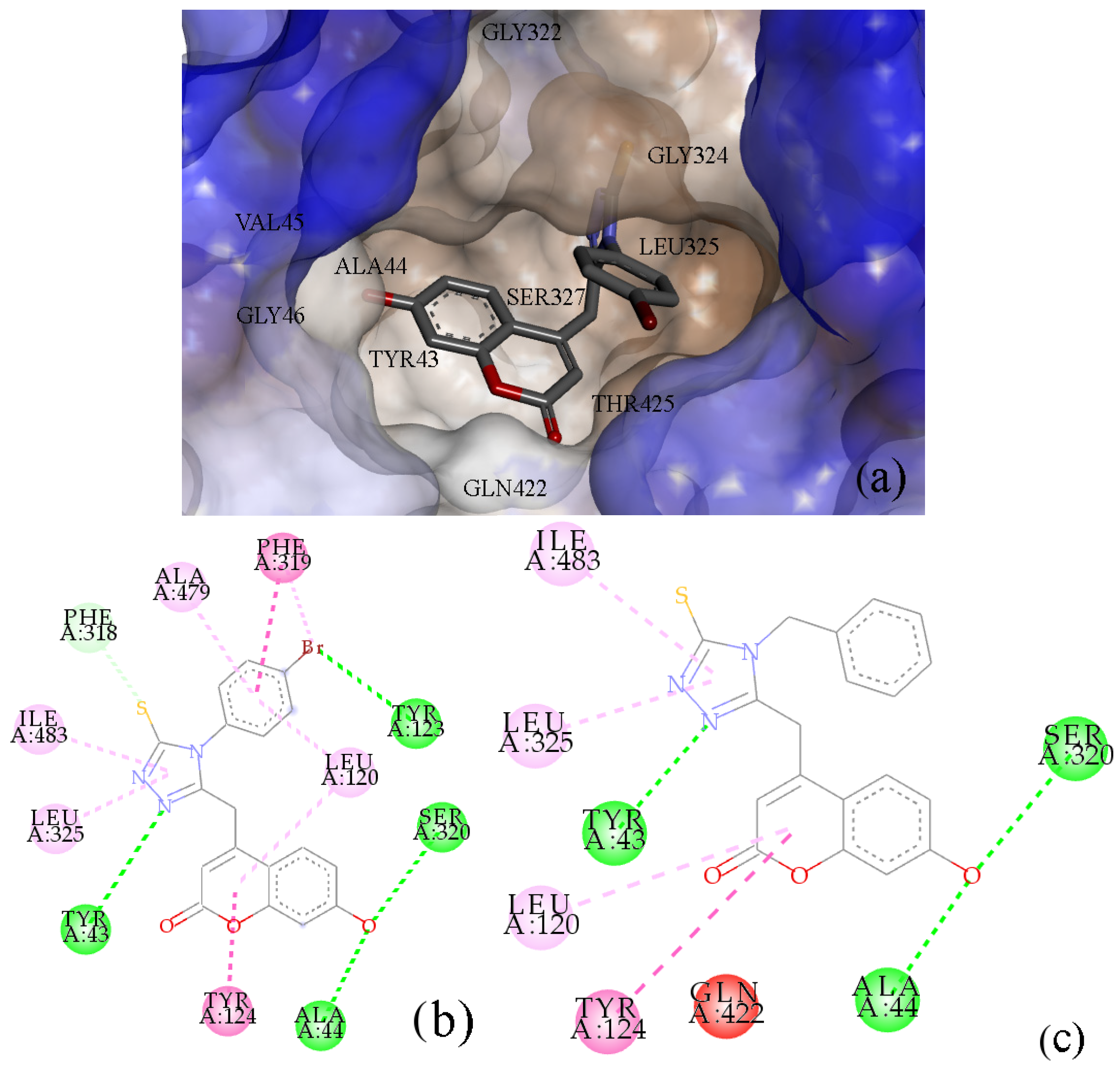 Molecules 30 01662 g005