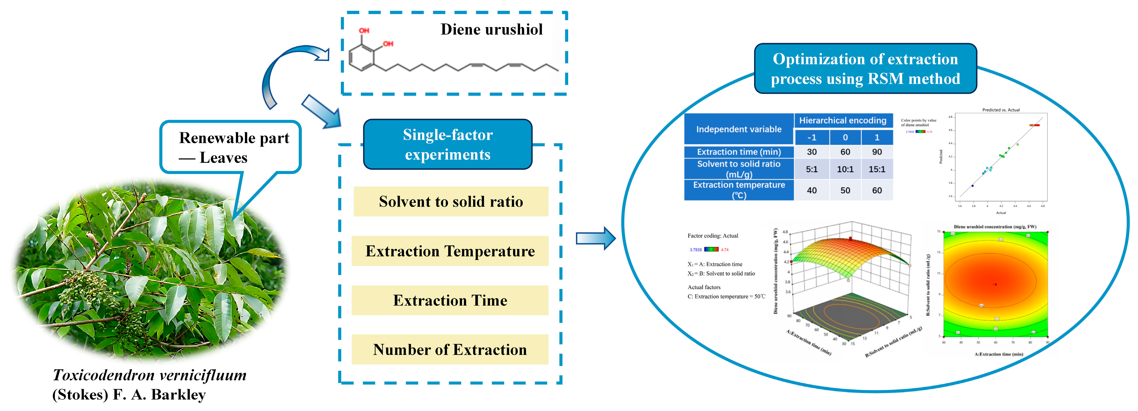 Molecules 30 01663 g001