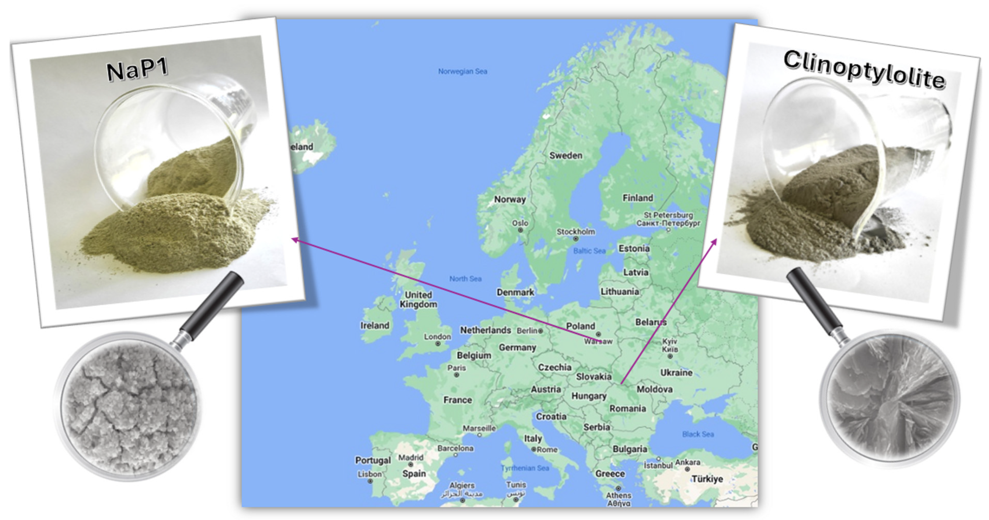 Molecules 30 01677 g006