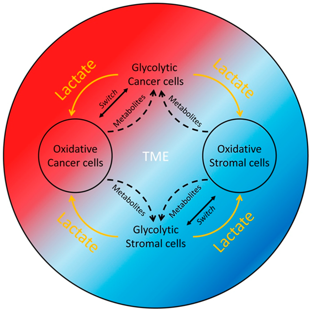 Molecules 30 01763 g001