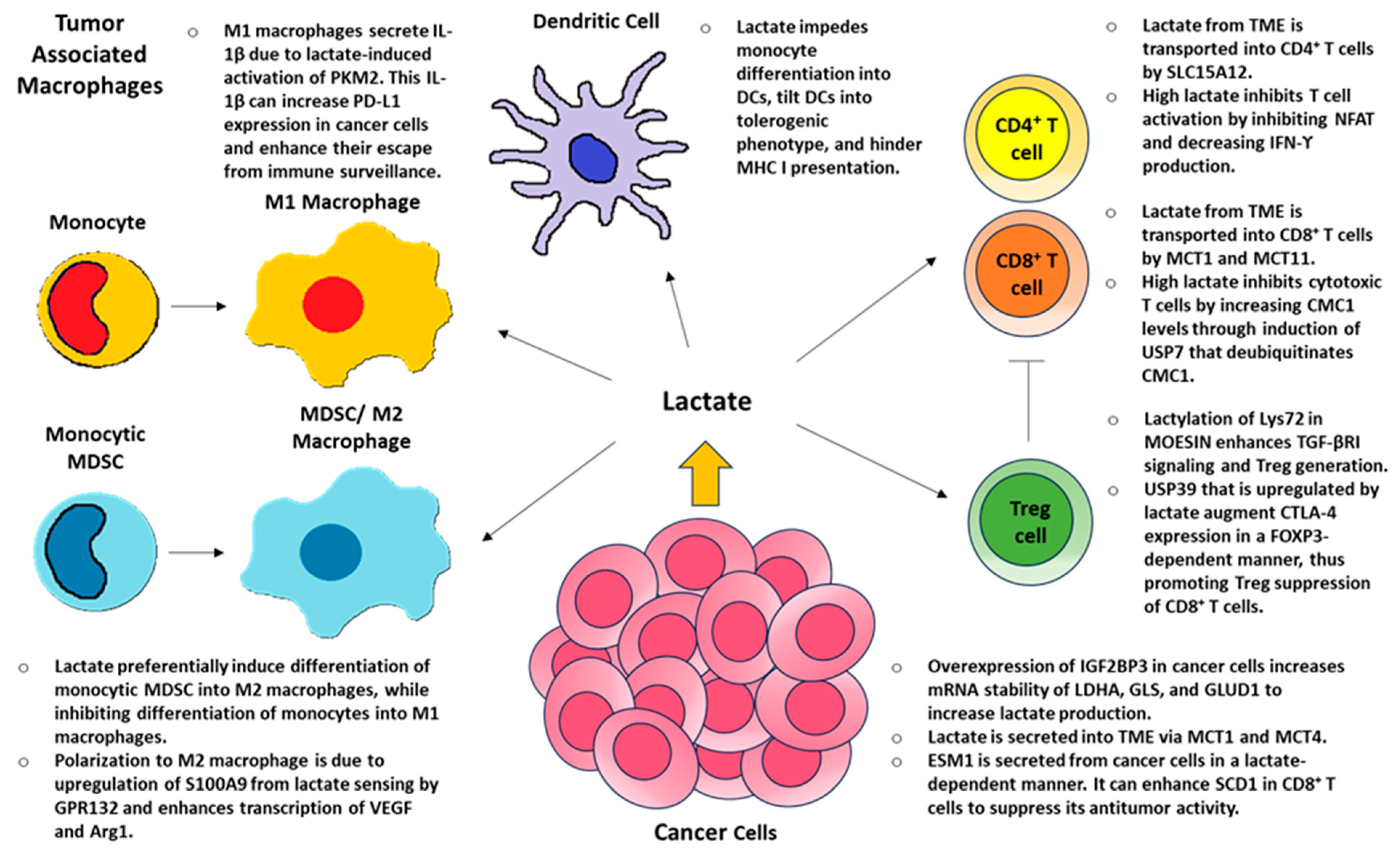 Molecules 30 01763 g007